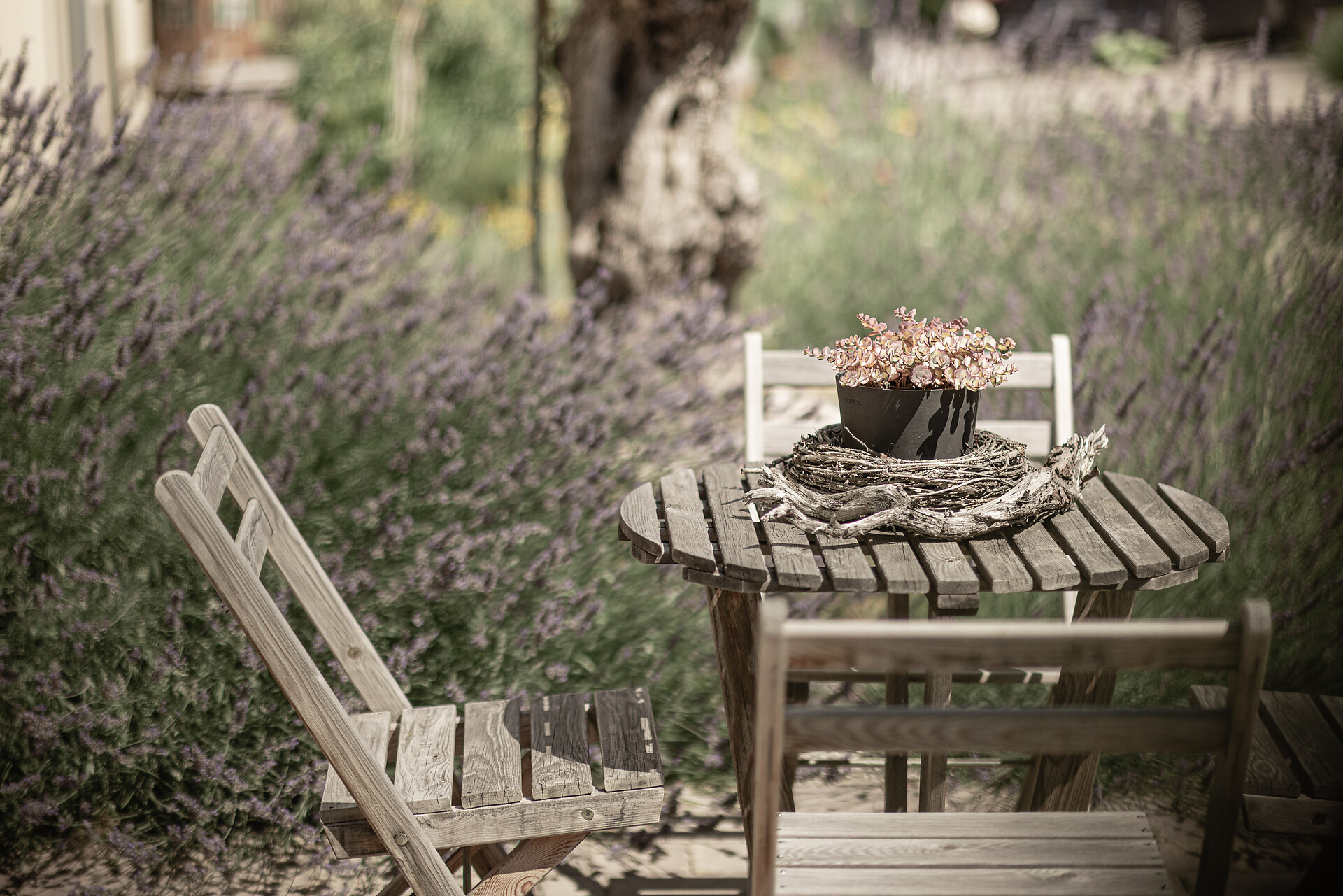 Garten