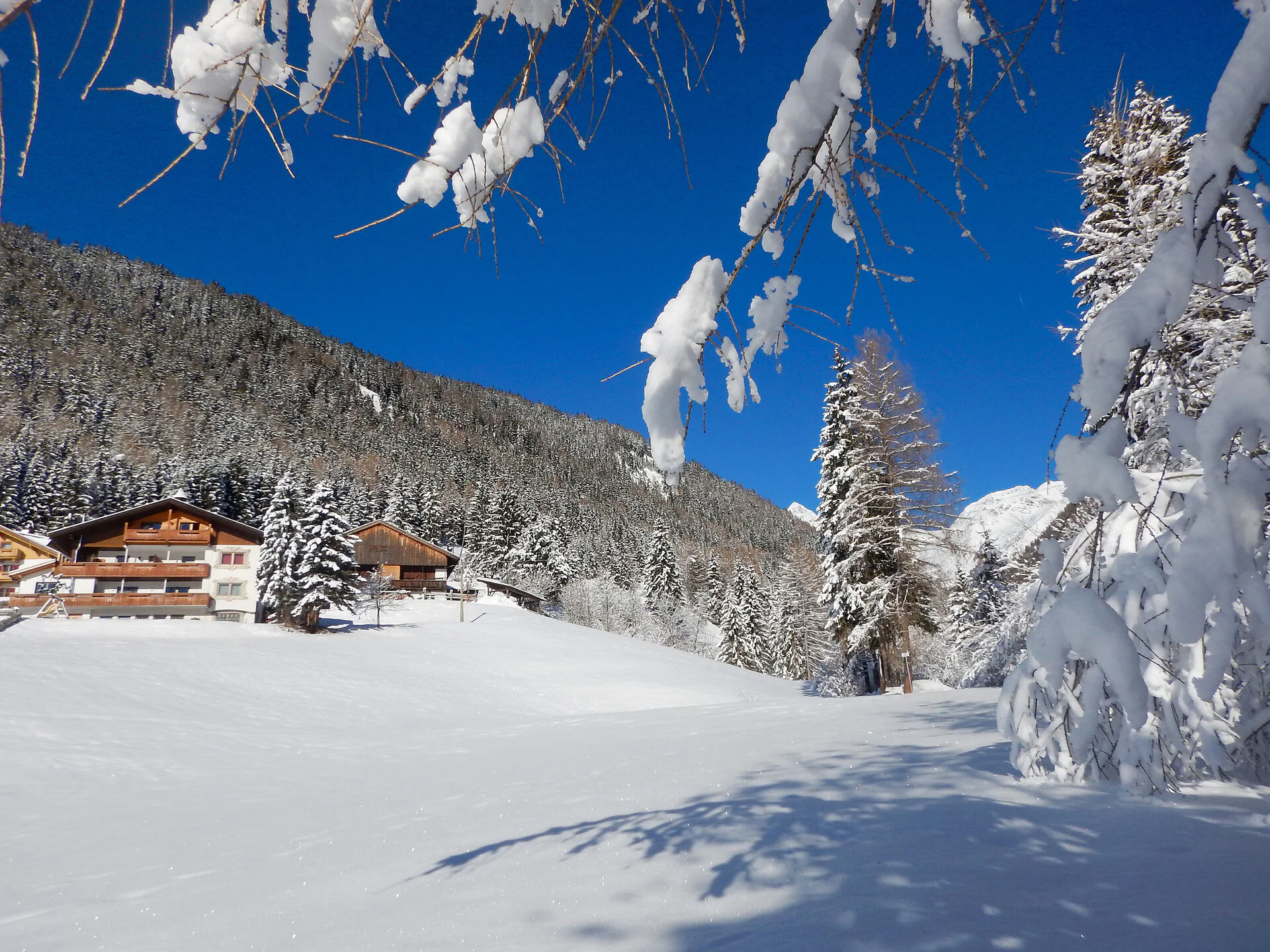 Apart. Alpegger Terento 8 suedtirol.info