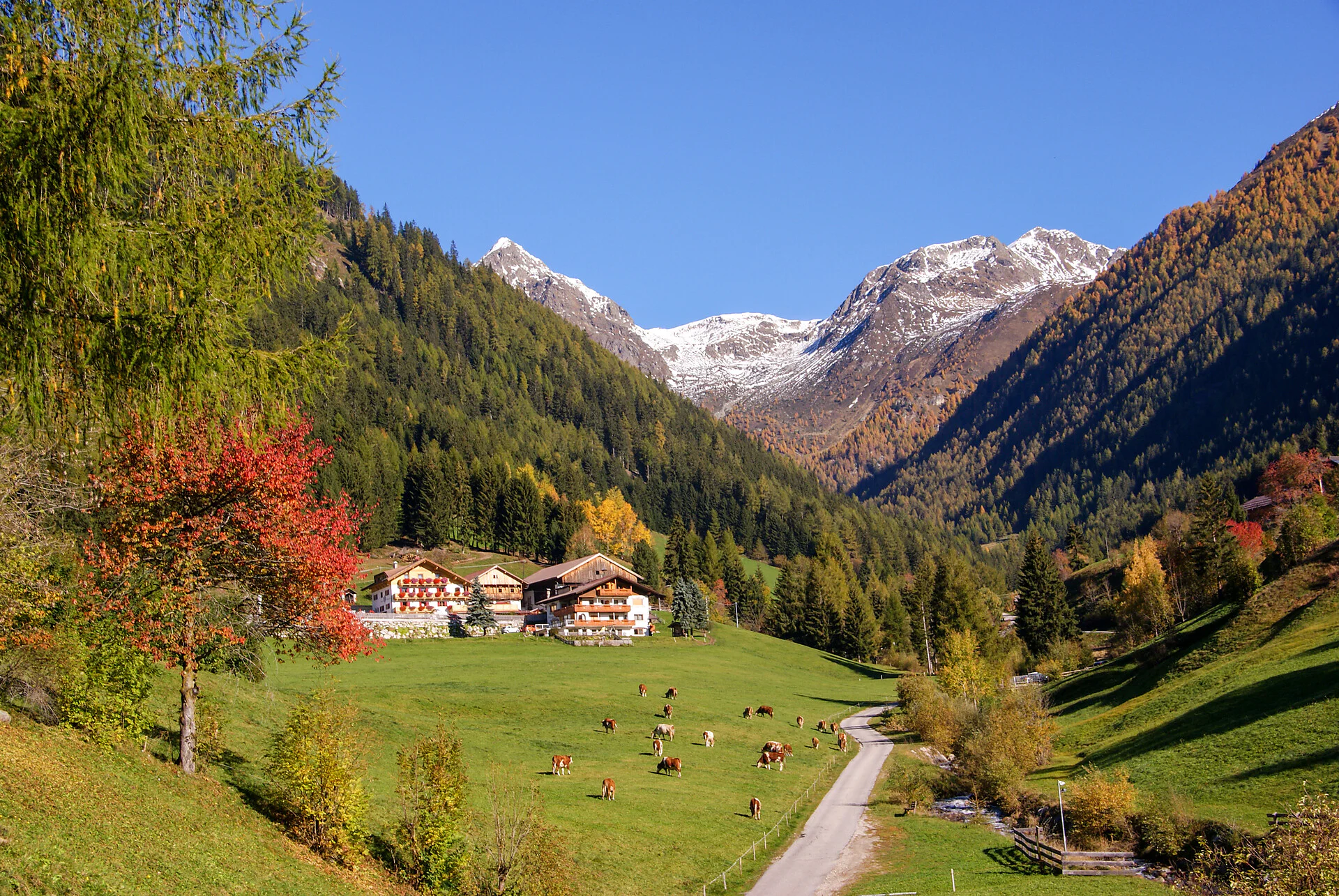 Apart. Alpegger Terento 4 suedtirol.info