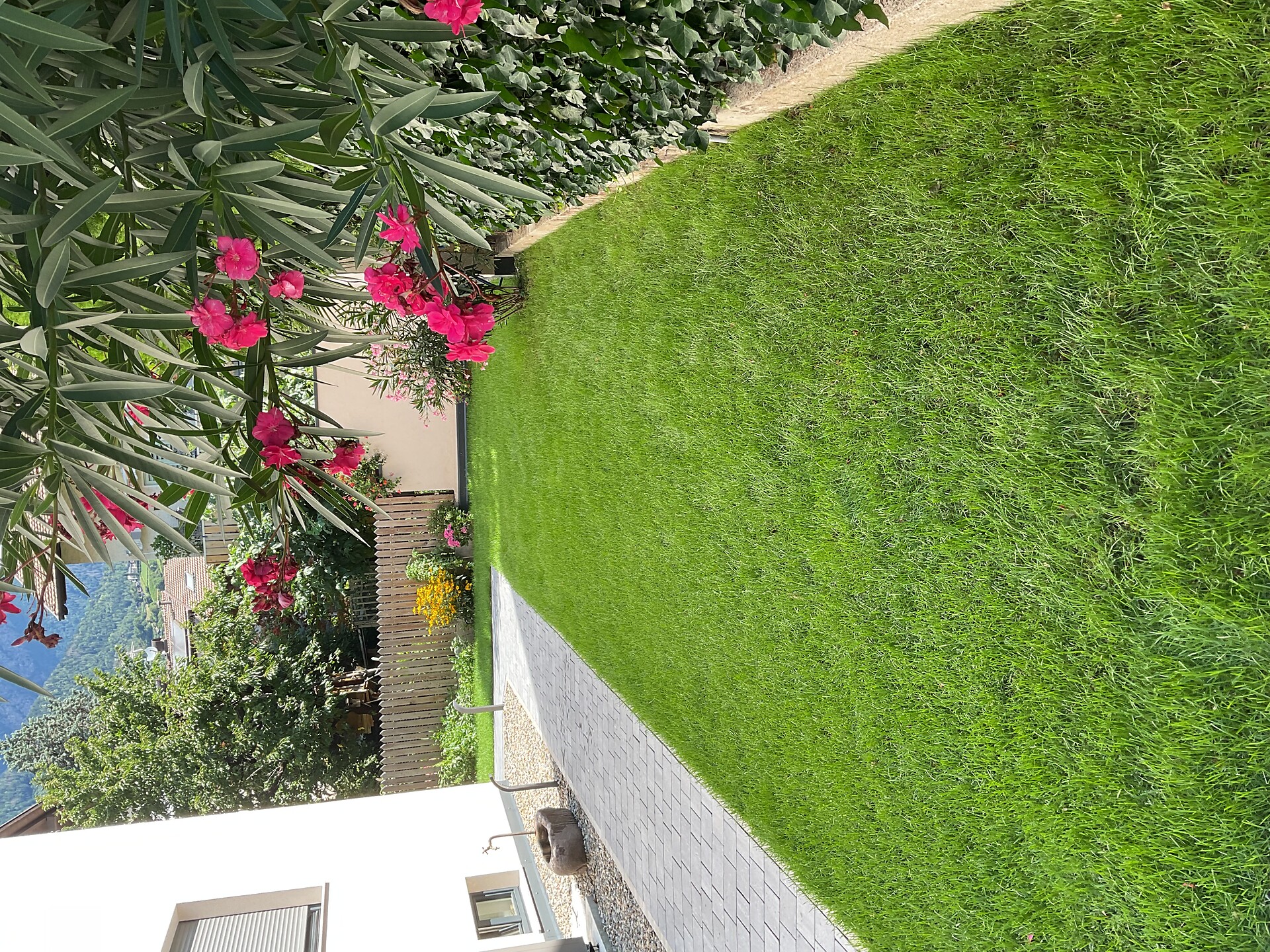 Lilena garden