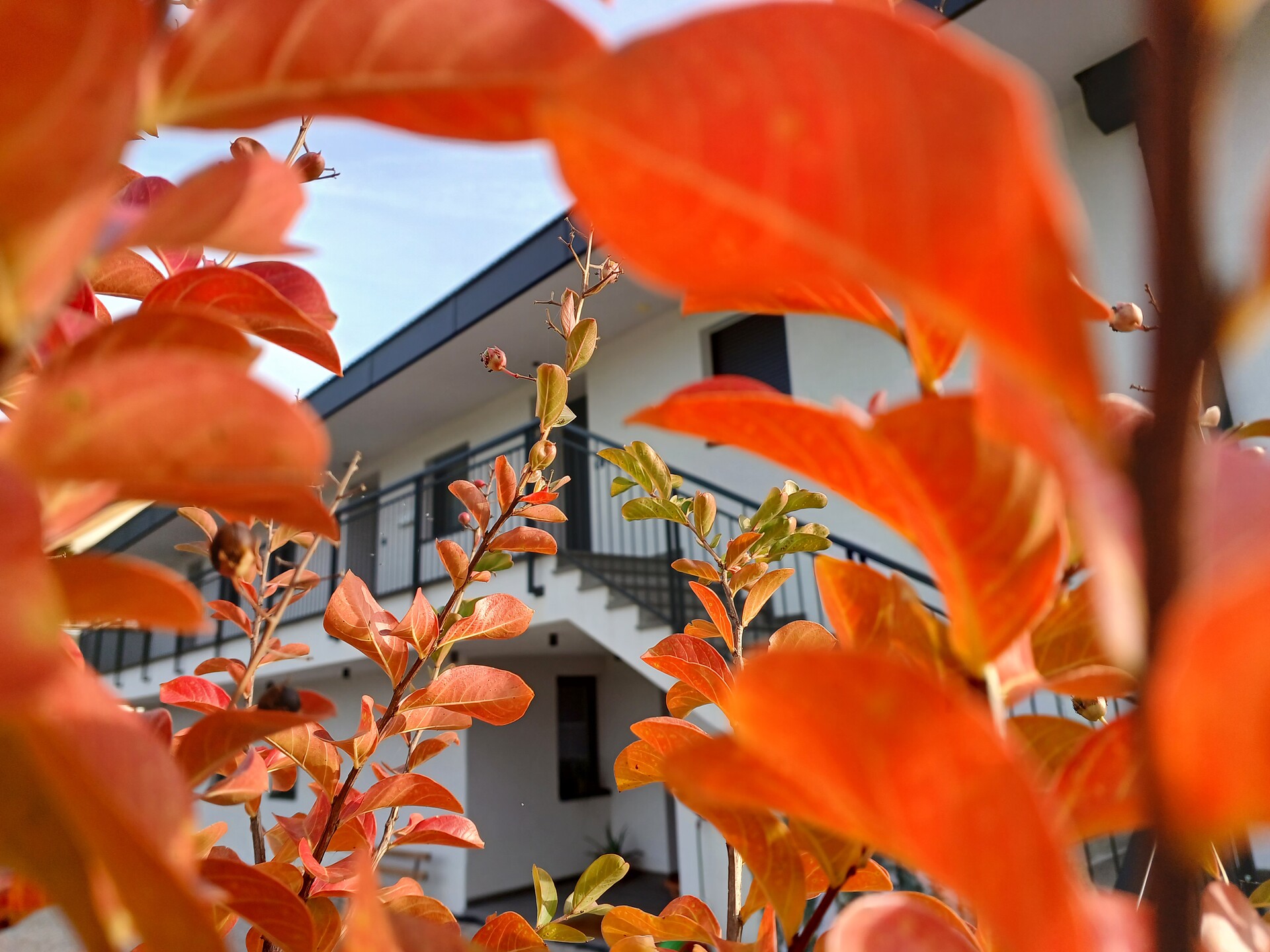 Herbst
