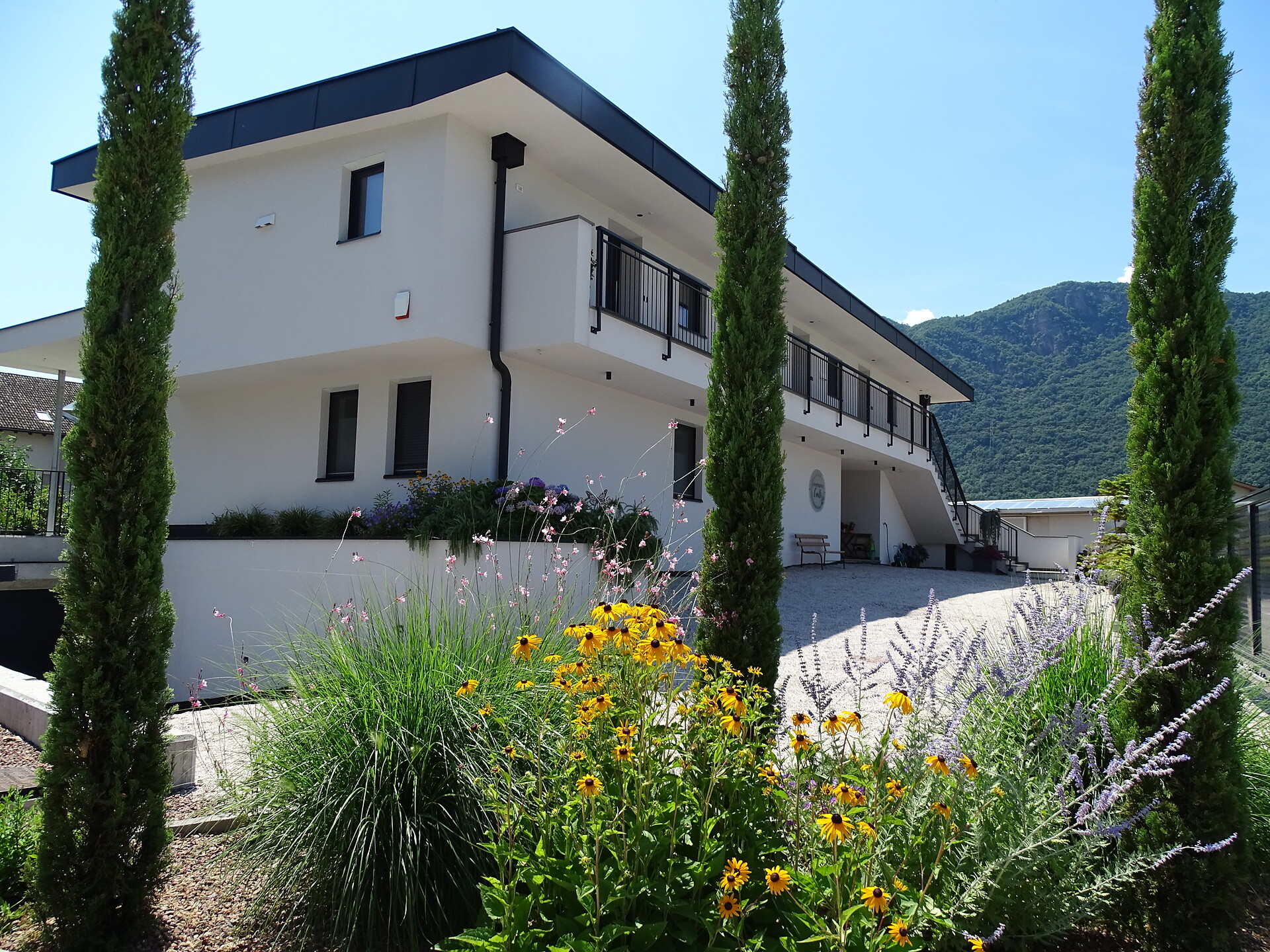 Apartments Curti