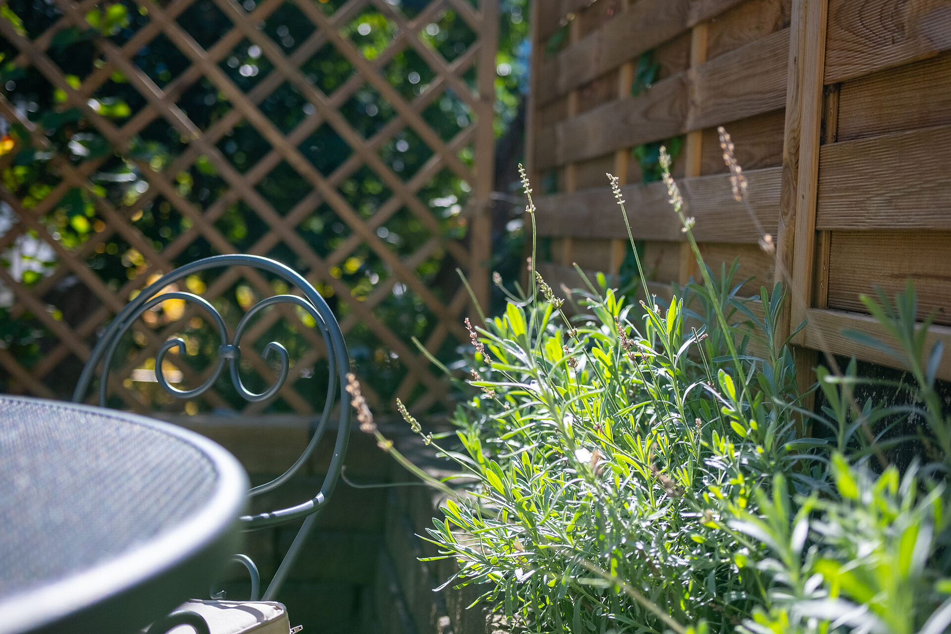 Apartments Vinlauris - Vinschgau/Val Venosta - #9 - suedtirol.info