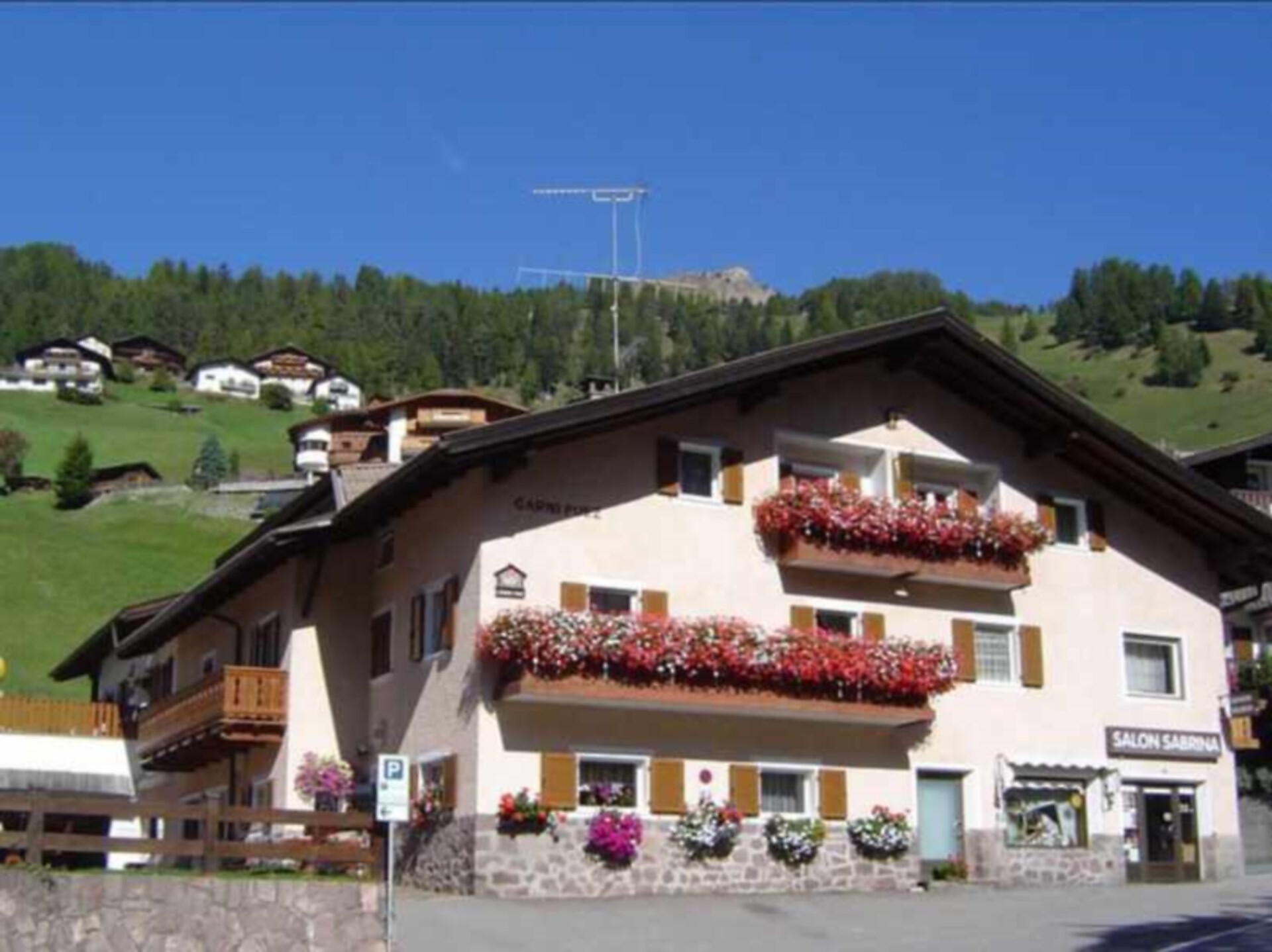 Apartments Puez - Regione dolomitica Val Gardena - #1 - suedtirol.info