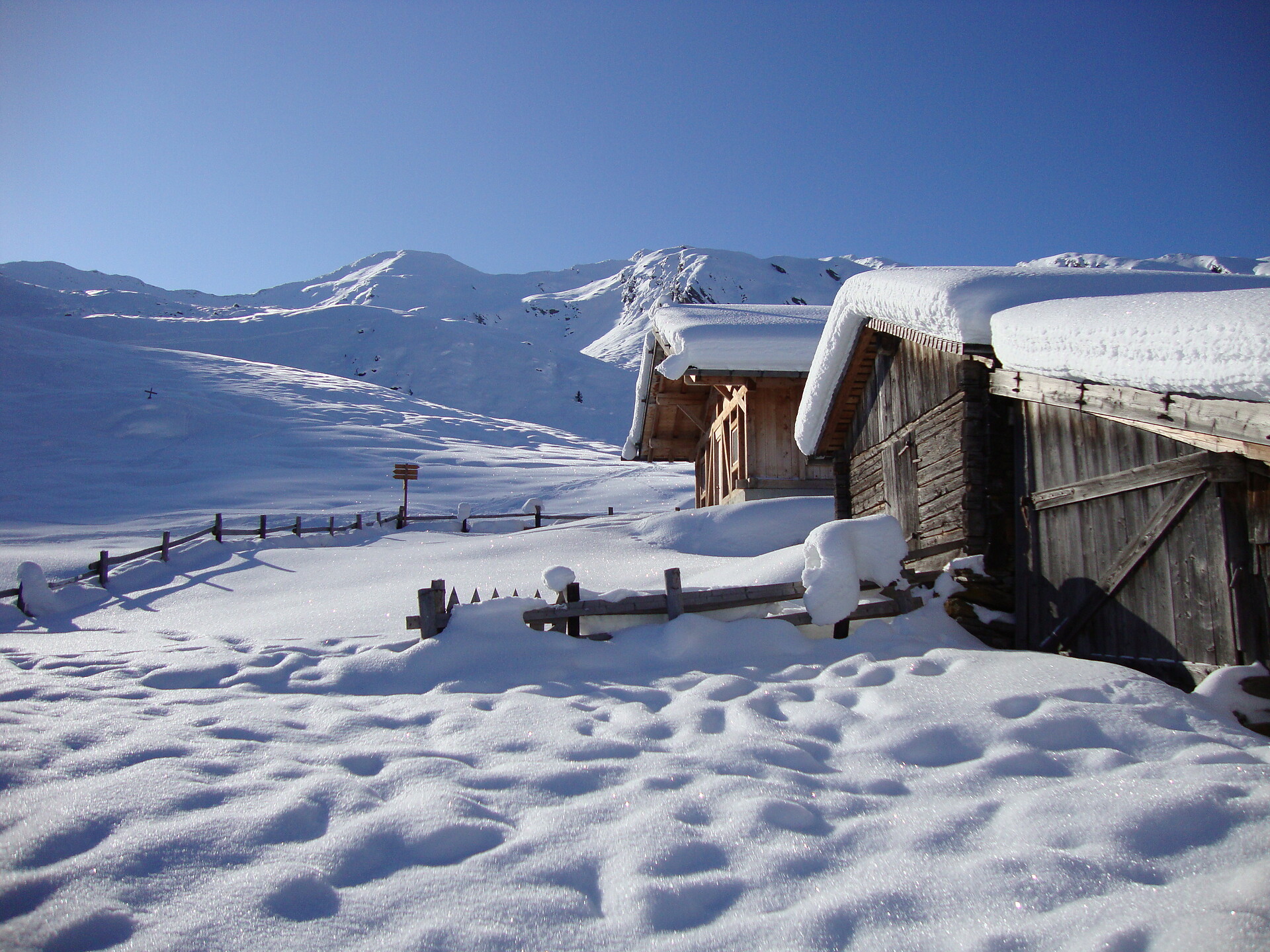 Winter