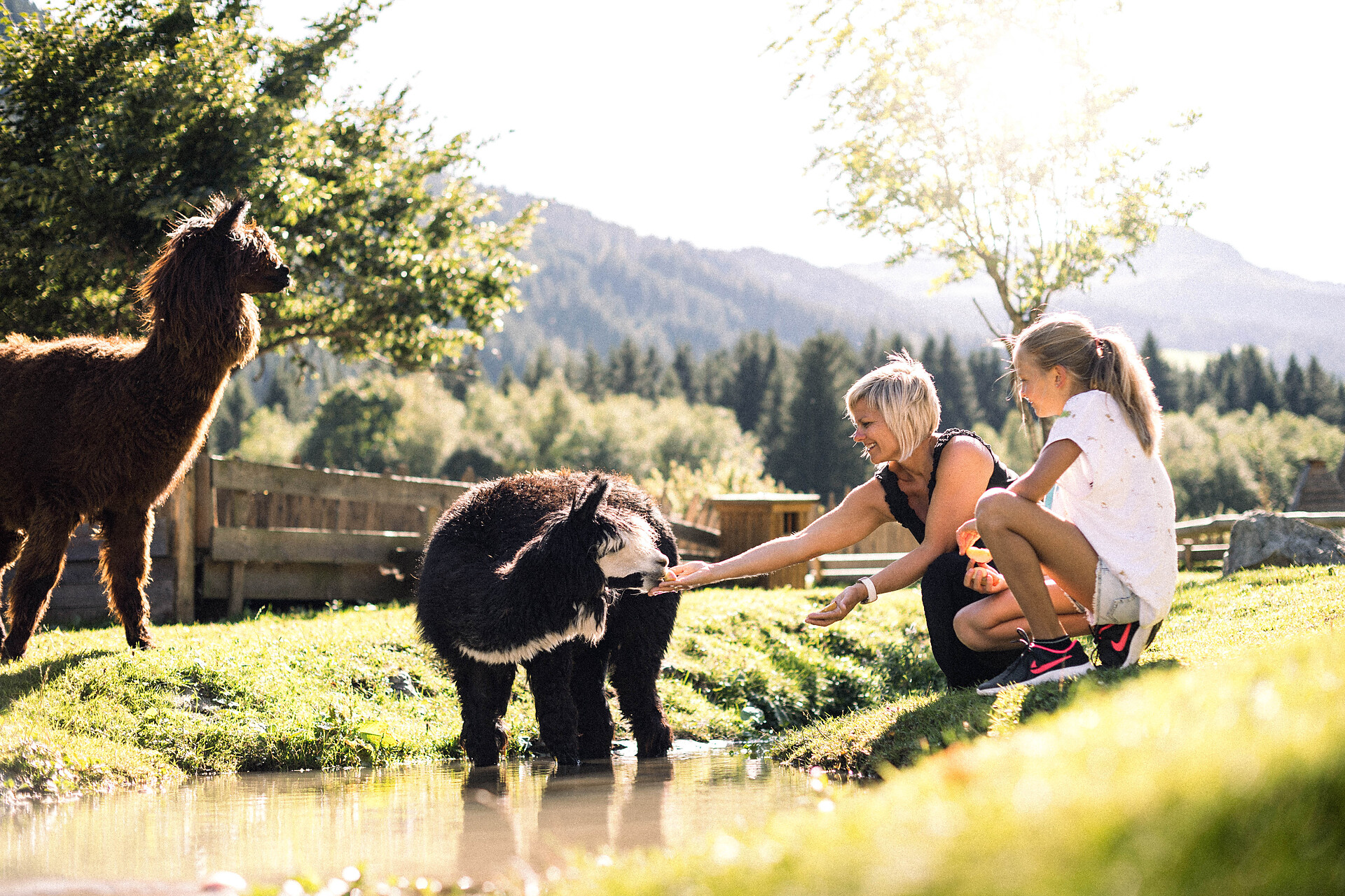 Alpura - Rooted in nature. Created for families. - Sterzing und Umgebung - #8 - suedtirol.info