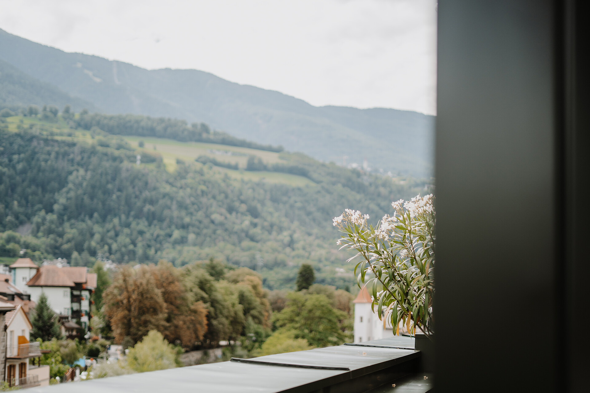 Adler Historic Guesthouse - Brixen und Umgebung - #3 - suedtirol.info