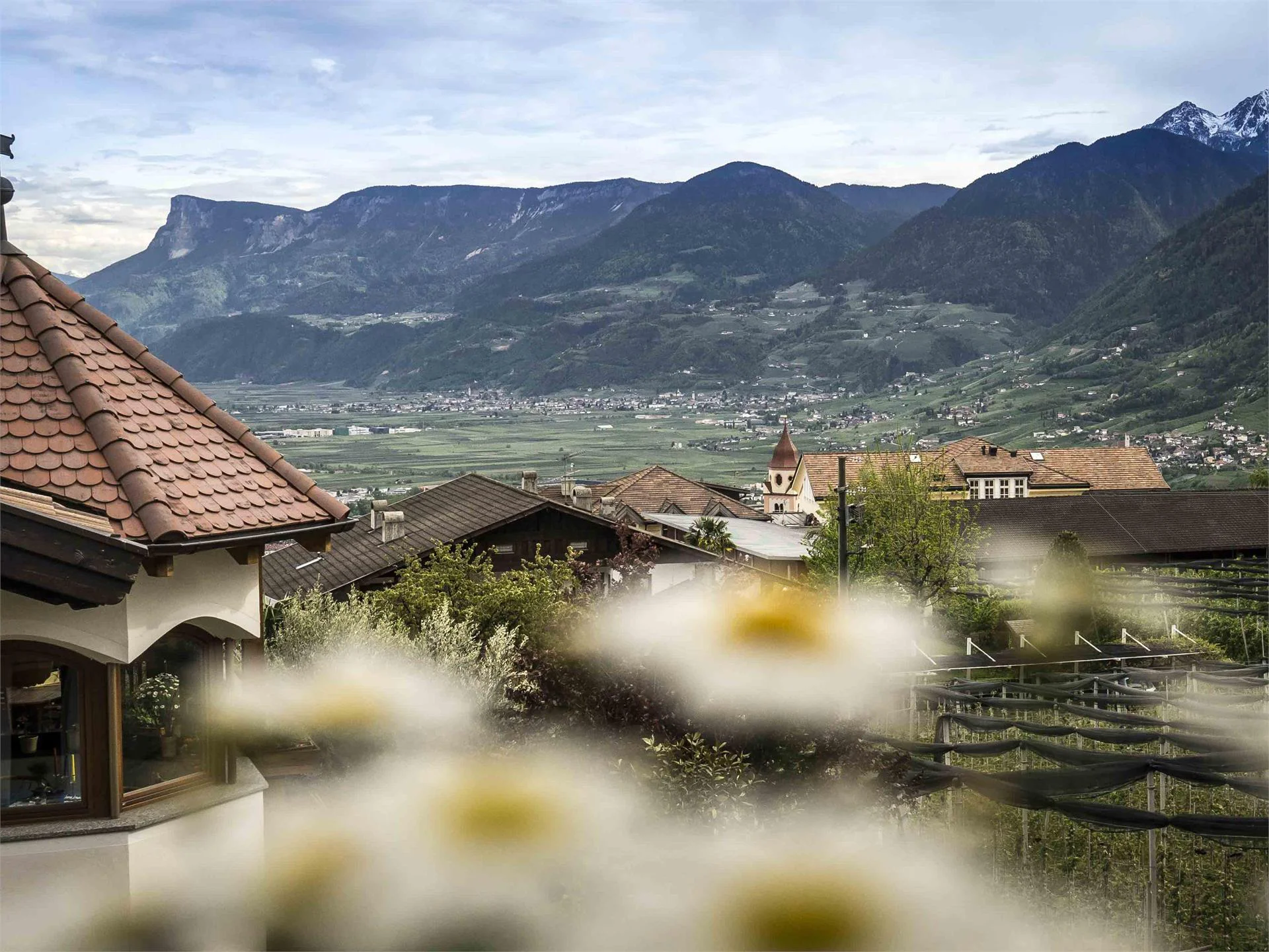 Appartamenti Vitalpina Tirolo 1 suedtirol.info