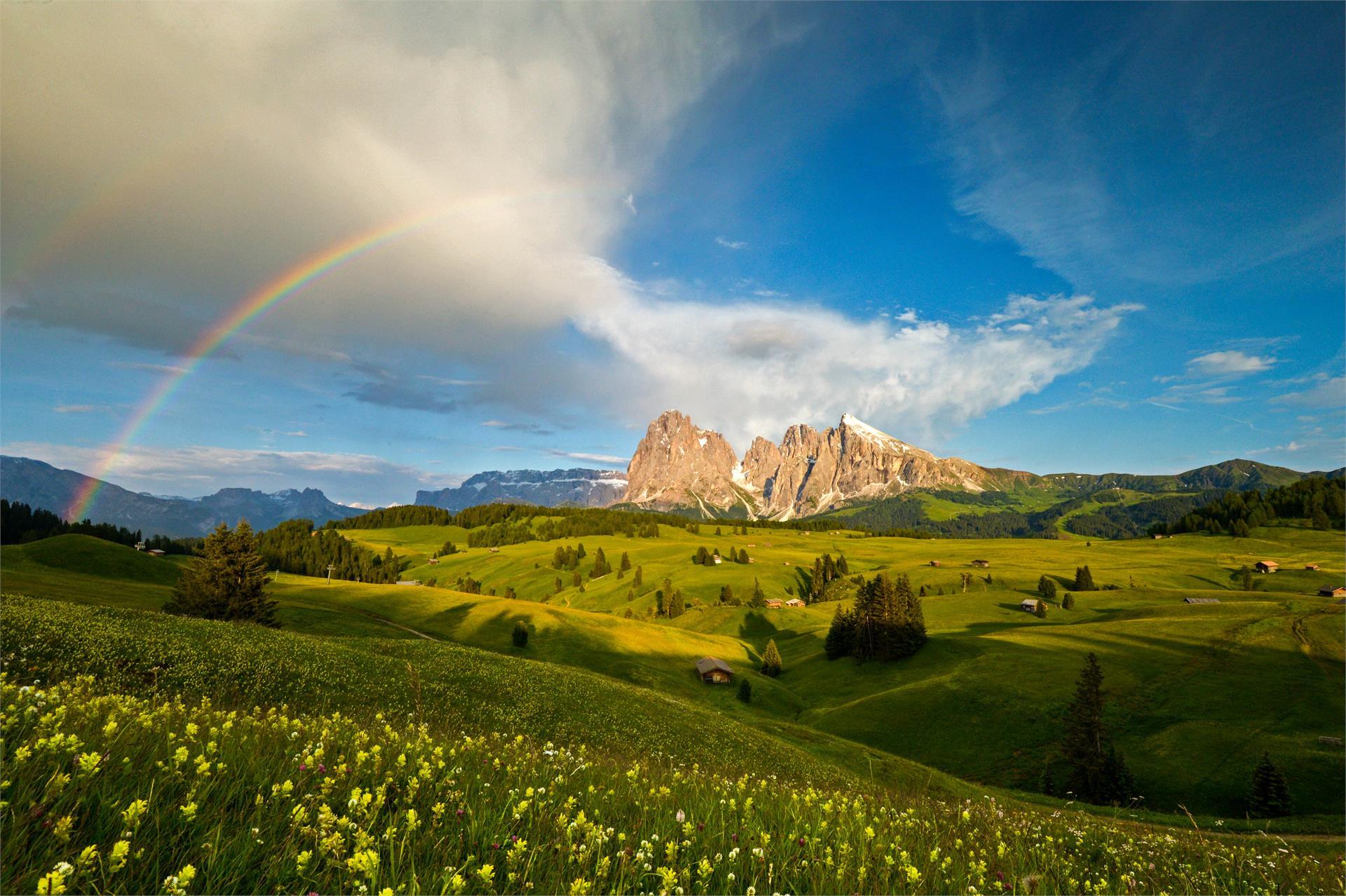 Artnatur Dolomites Hotel & Spa Kastelruth 20 suedtirol.info