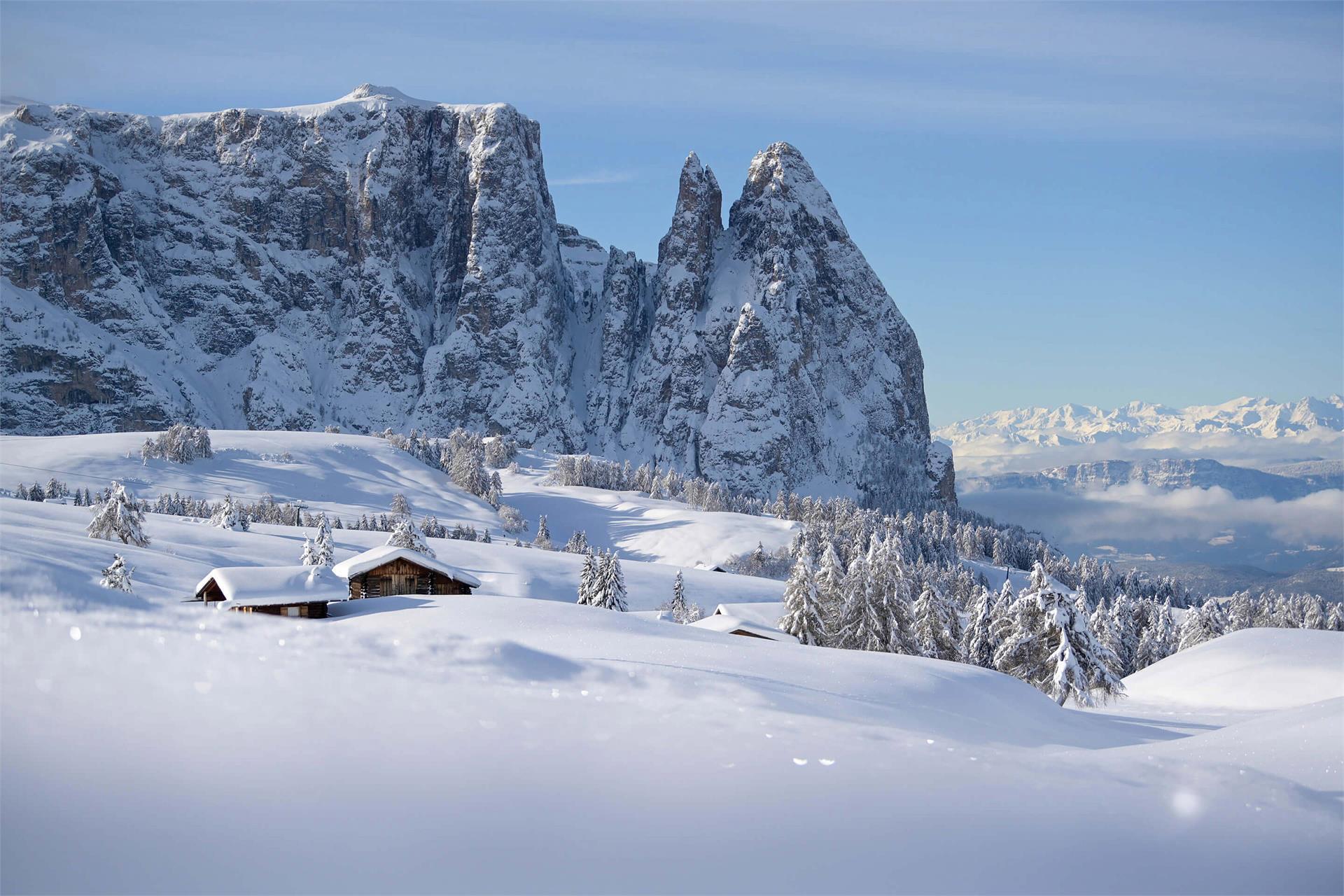 Artnatur Dolomites Hotel & Spa Kastelruth 23 suedtirol.info
