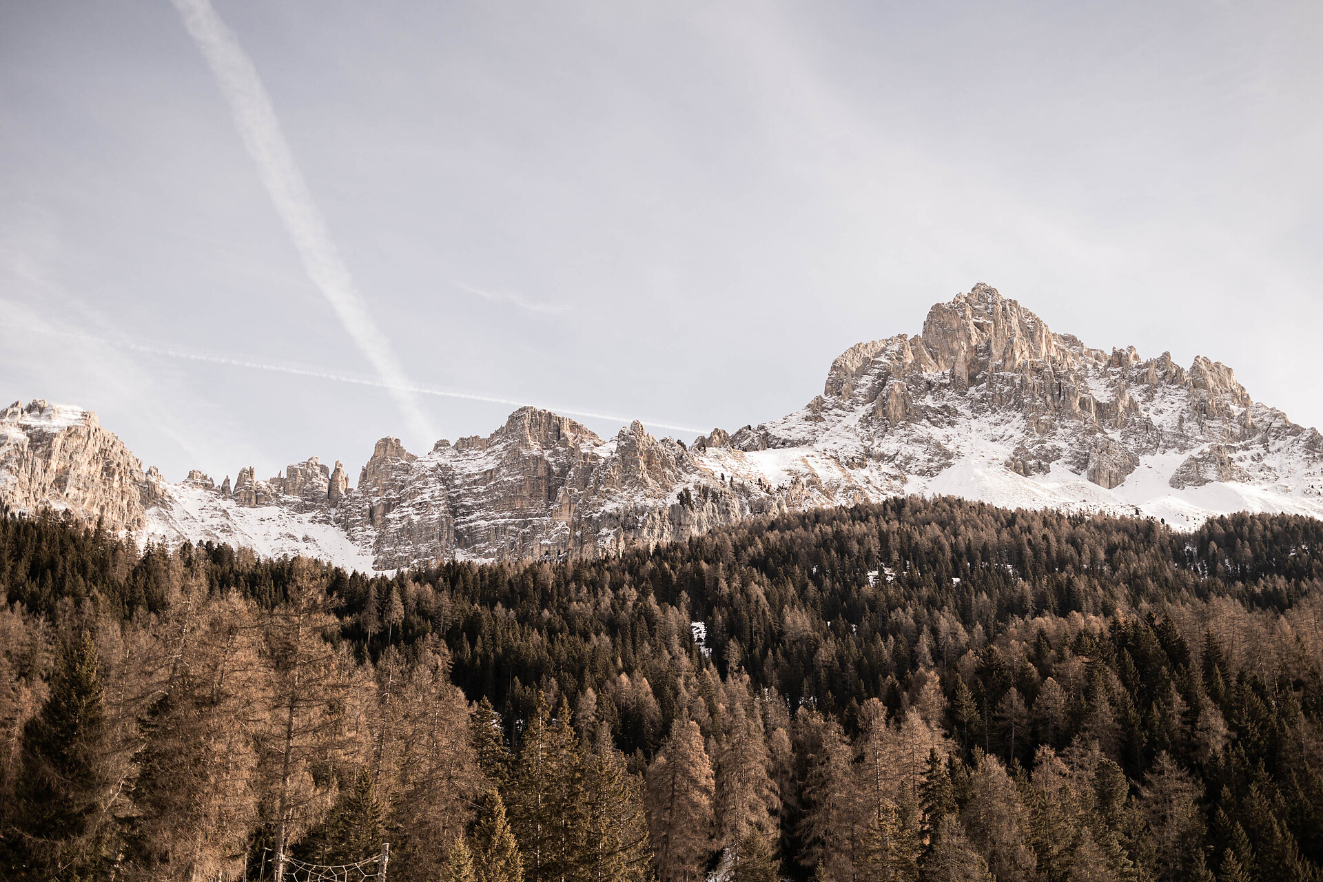 Alma Alpina Lodge – Adults Only - Dolomitenregion Eggental - #7 - suedtirol.info