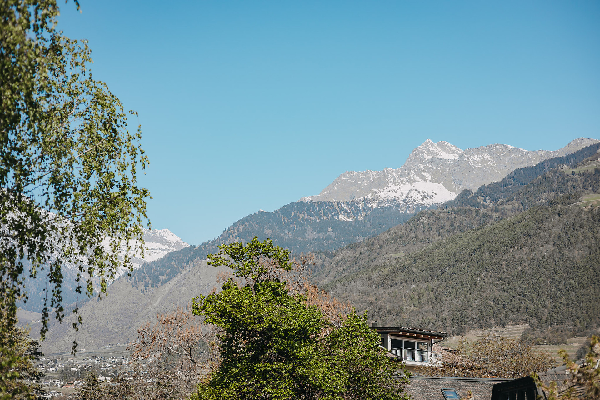 Appart Suites Gravbach Algund 10 suedtirol.info