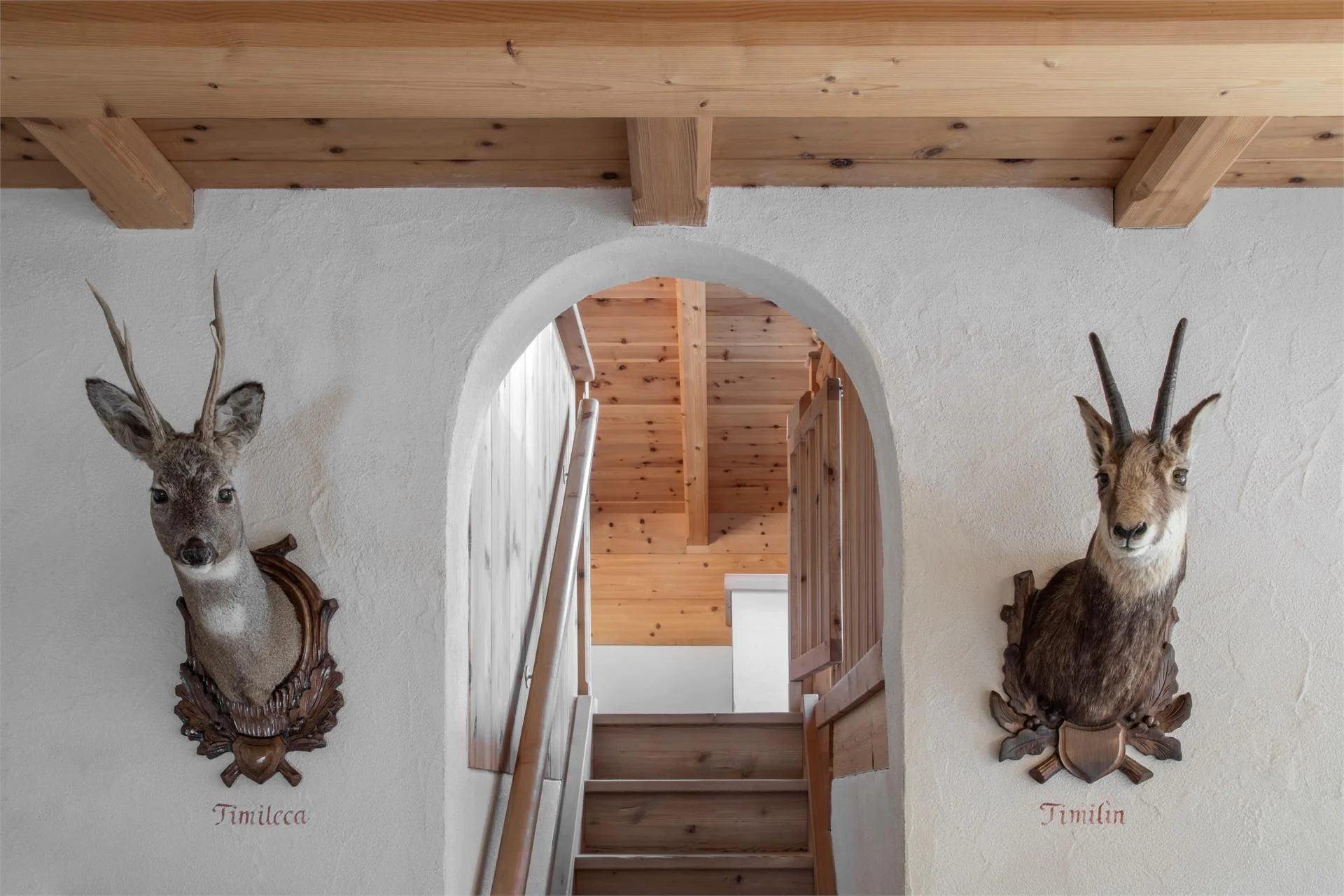 Aqua Bad Cortina - biohotel & thermal baths Al Plan/San Vigilio 9 suedtirol.info
