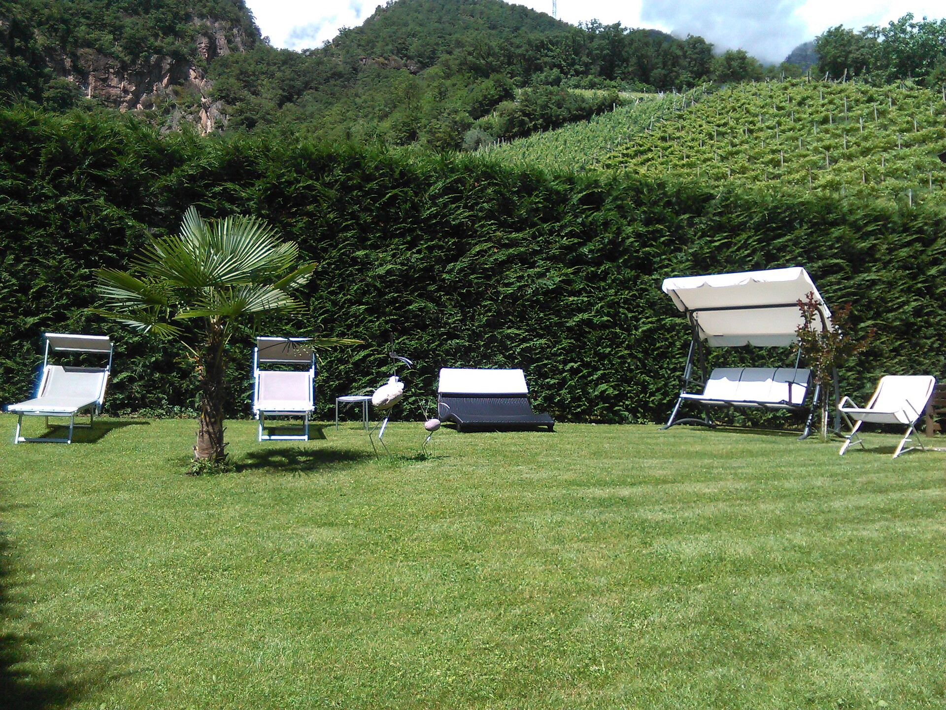 Bertagnollhof_Caldaro al lago
