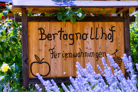 Bertagnollhof Caldaro sulla Strada del Vino 19 suedtirol.info