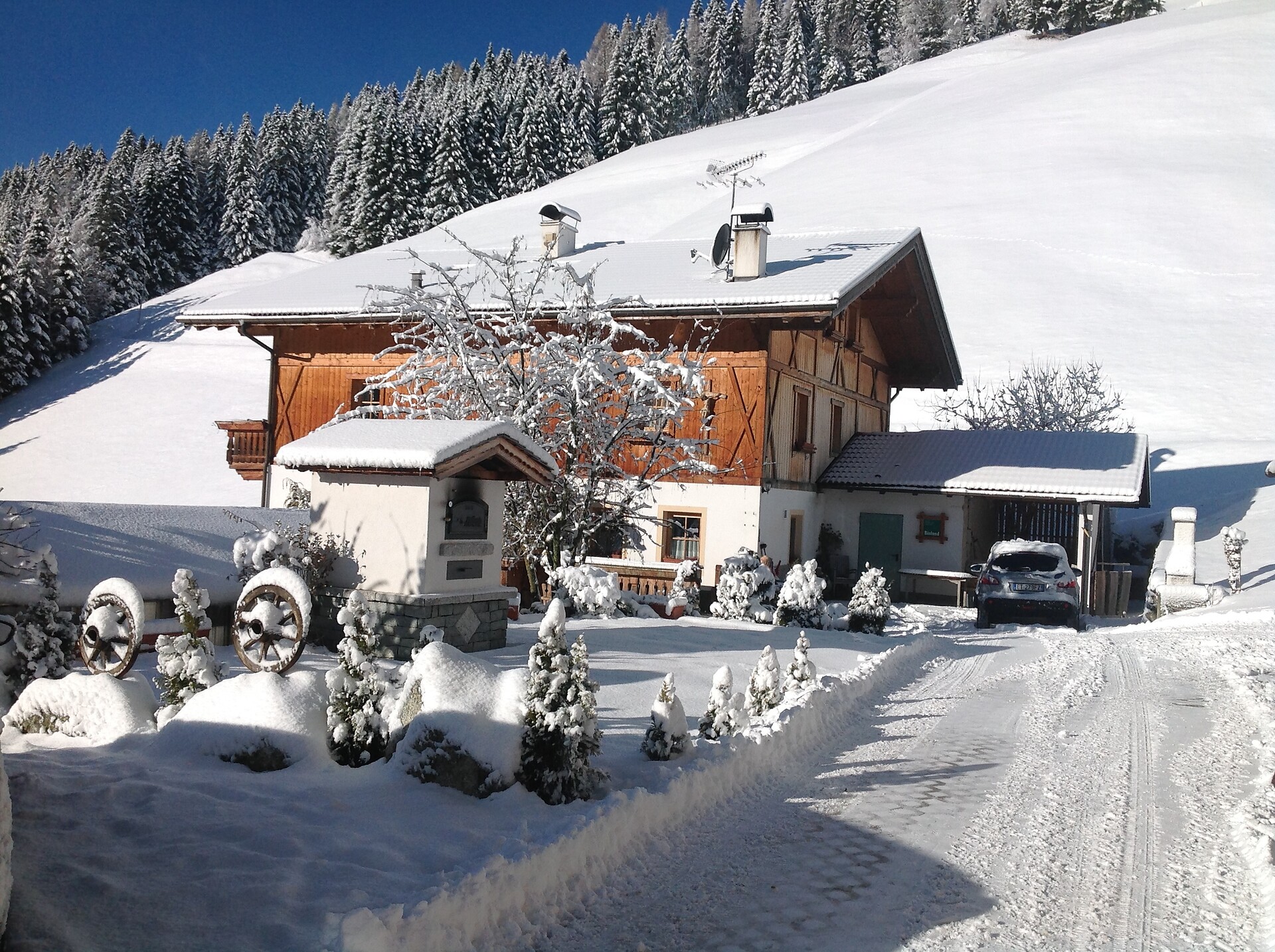 Bio Bauernhof Hamann