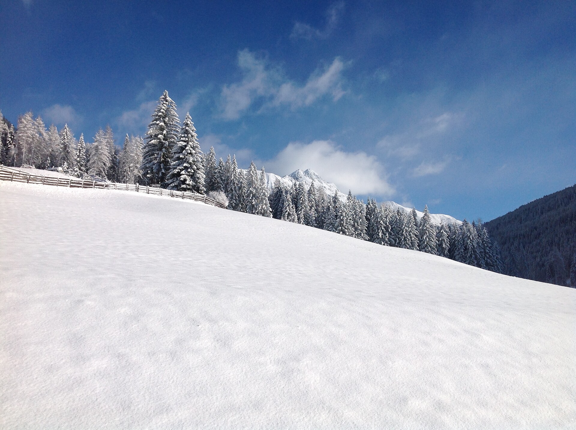 Winter