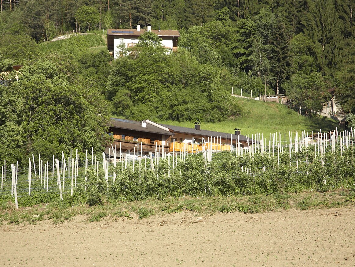 Panoramic view