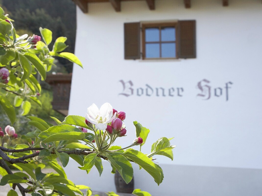 Bodnerhof