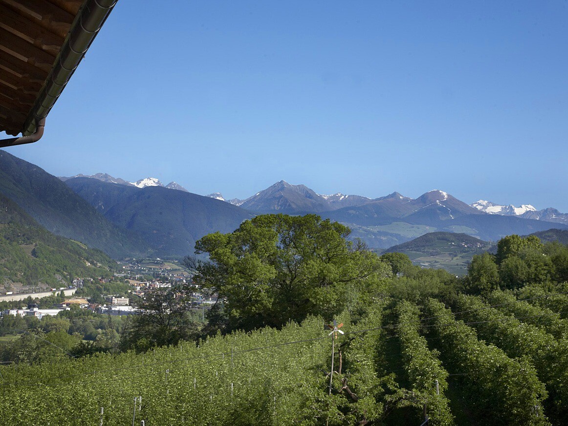 Panoramic view