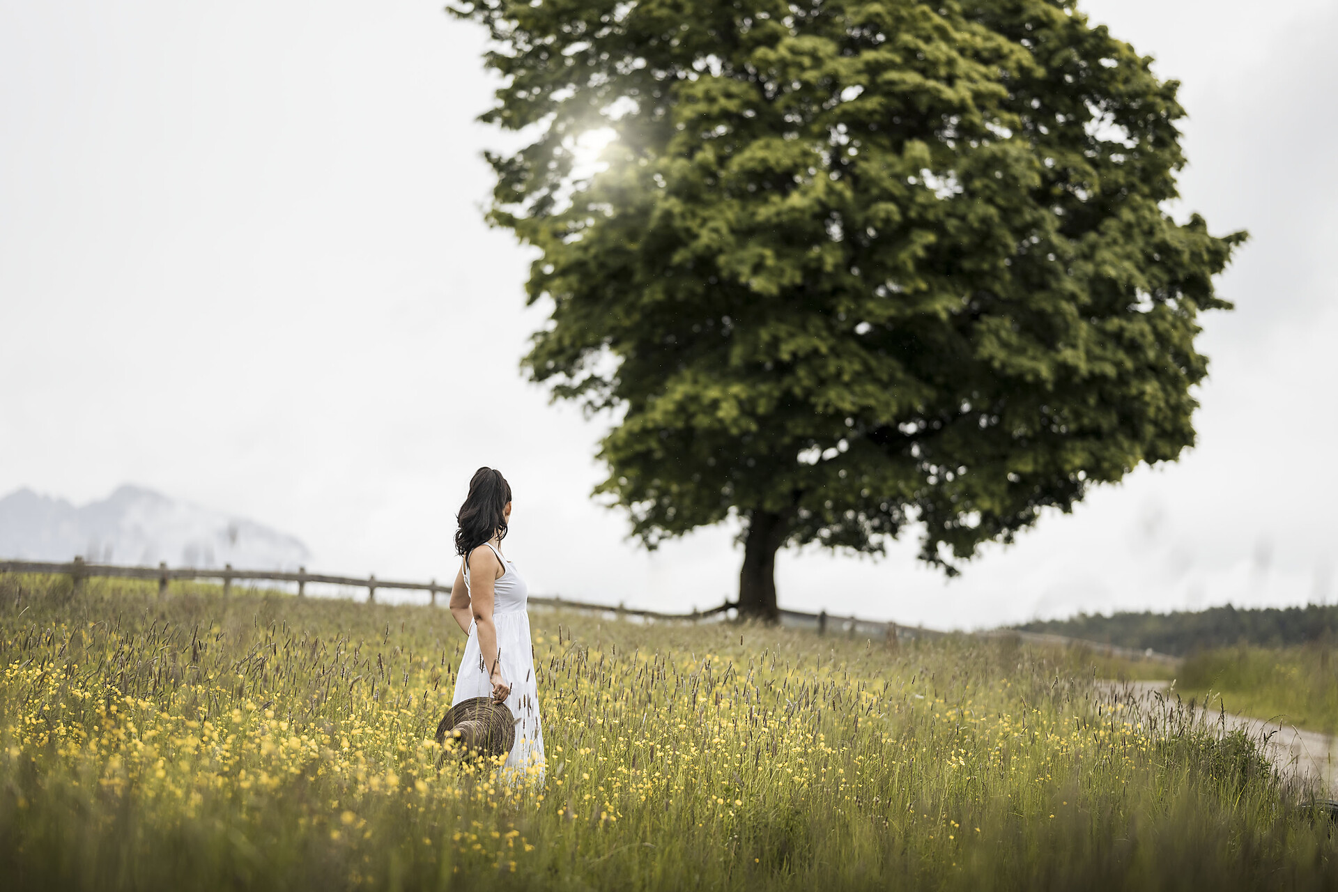 Bella Posta Surroundings