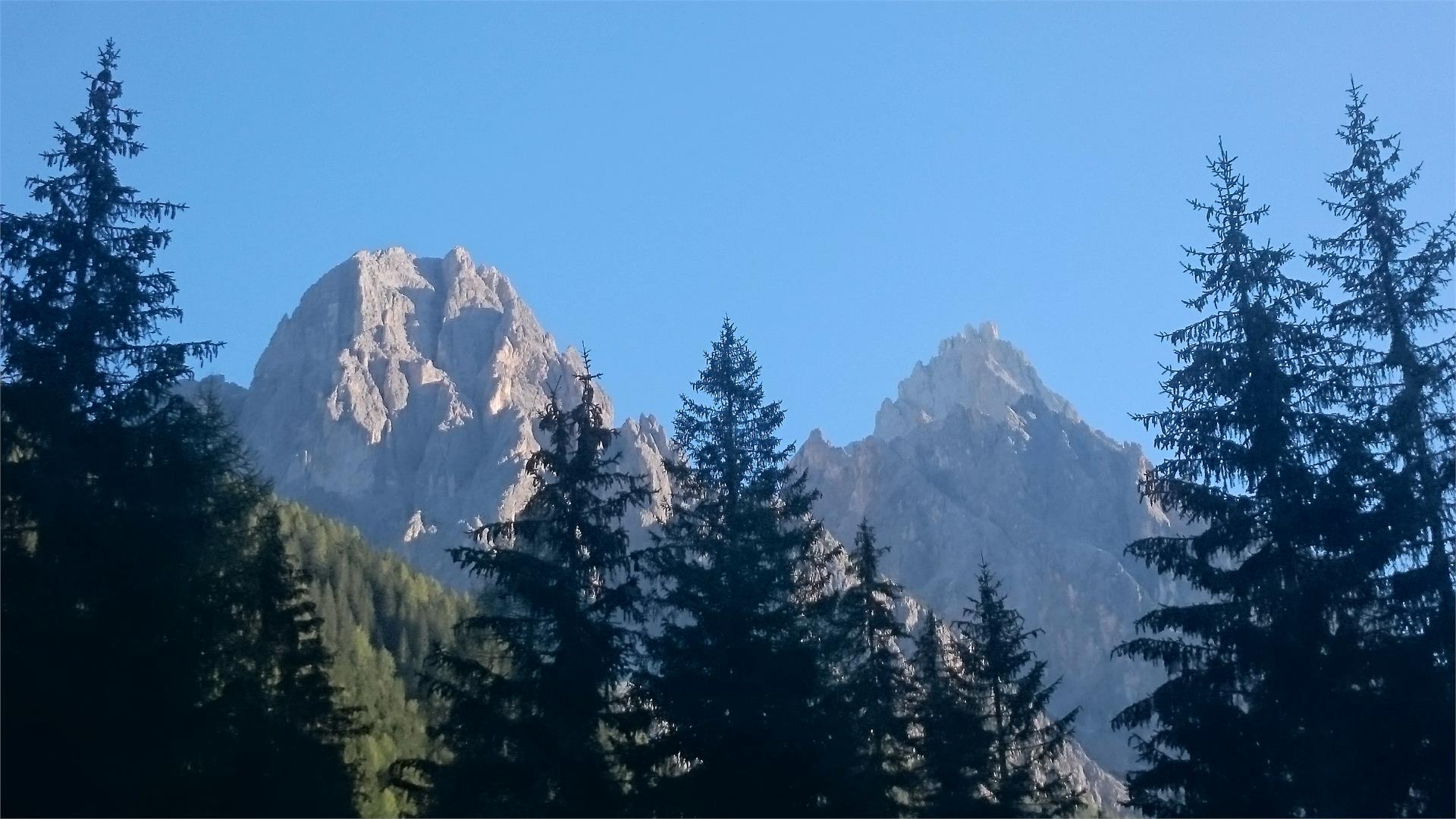 Bühlerhof Sexten 7 suedtirol.info