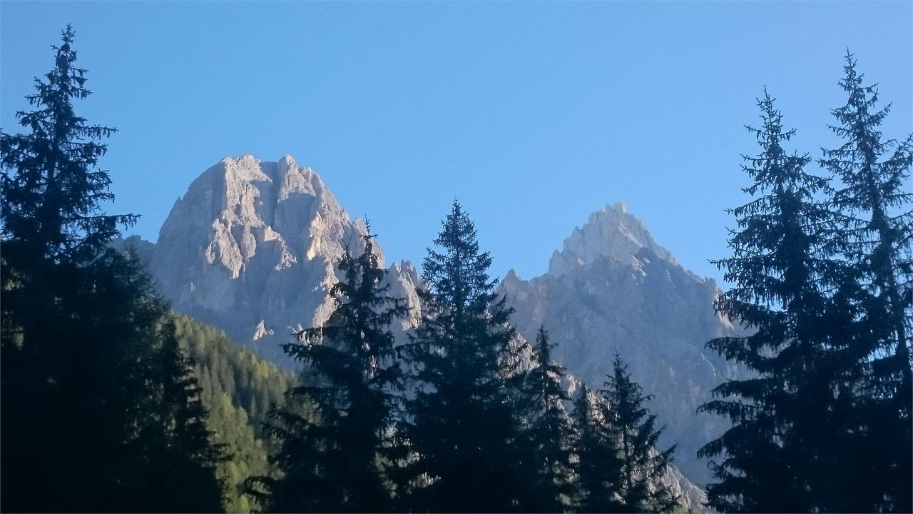 Slide 8