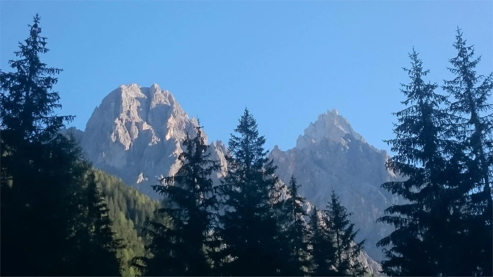 Slide 8