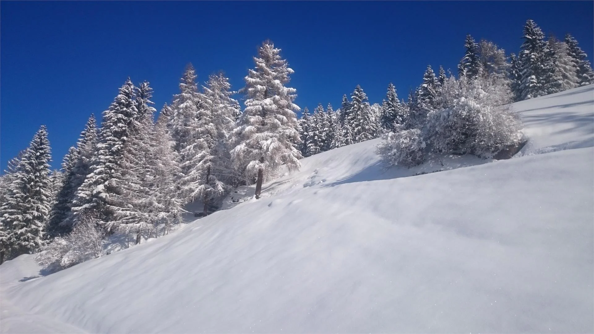 Bühlerhof Sexten/Sesto 11 suedtirol.info