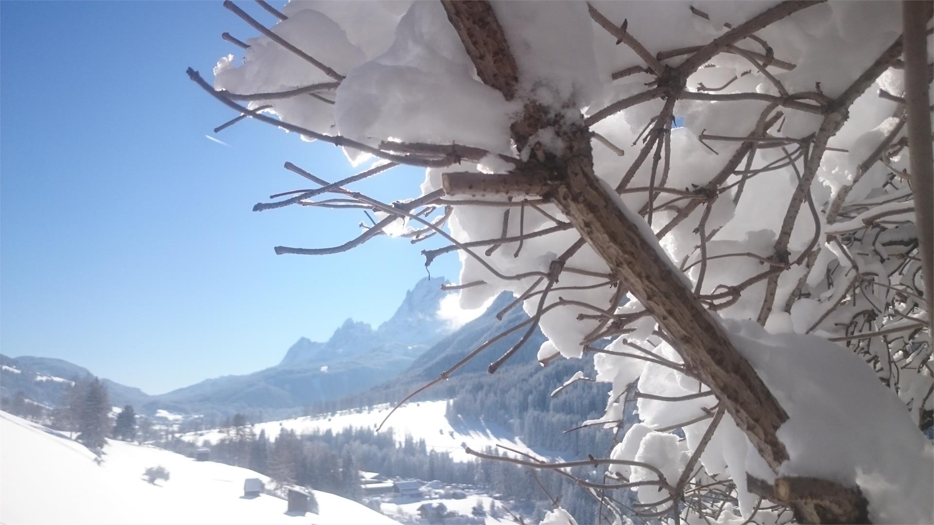 Bühlerhof Sexten 8 suedtirol.info