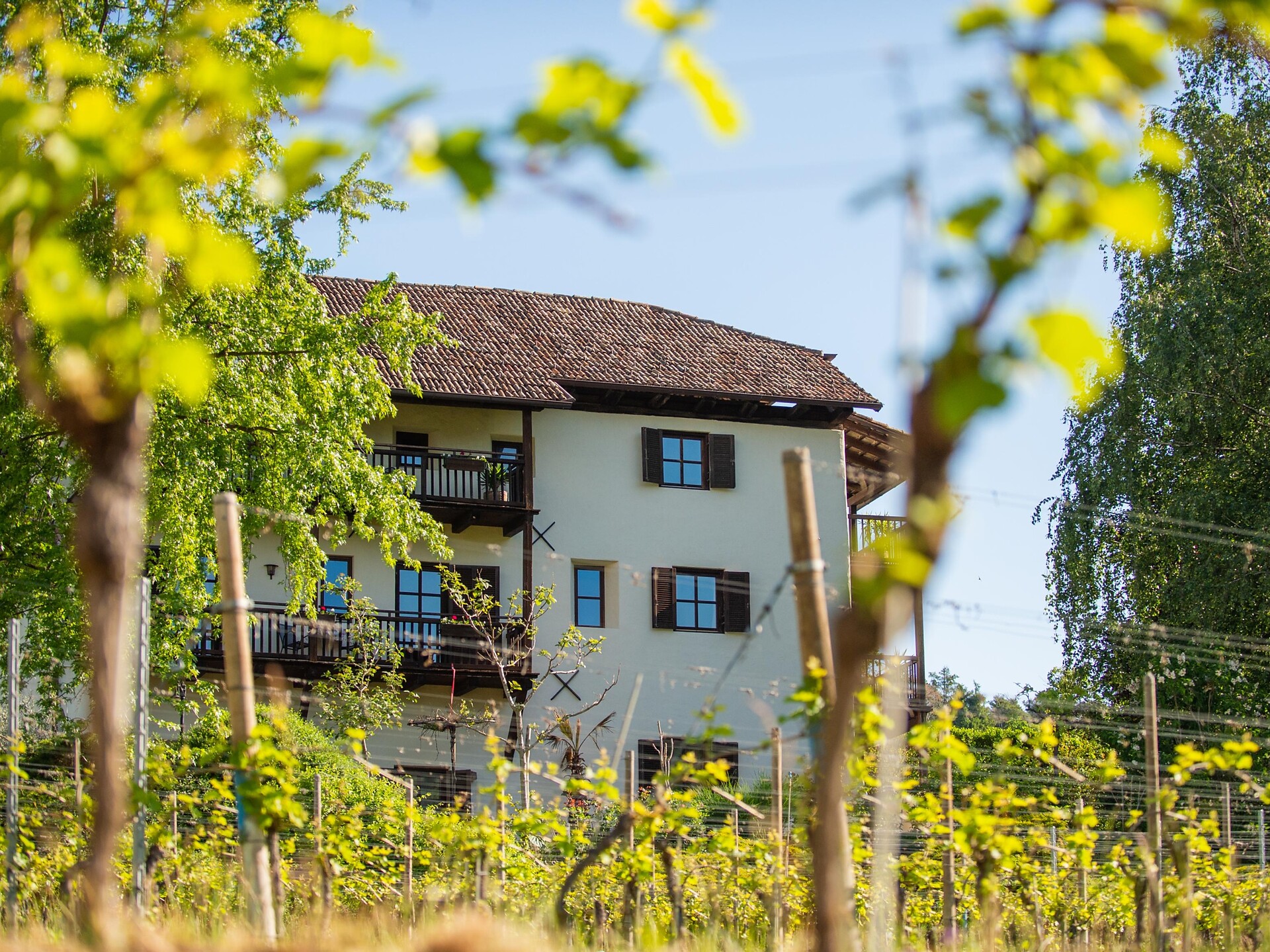 B&B Unterhabsbergerhof