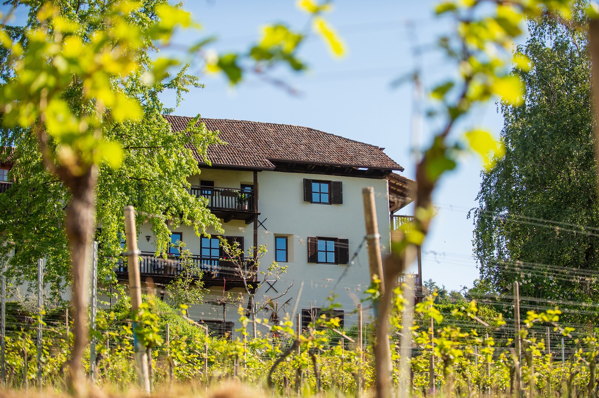 B&B Unterhabsbergerhof