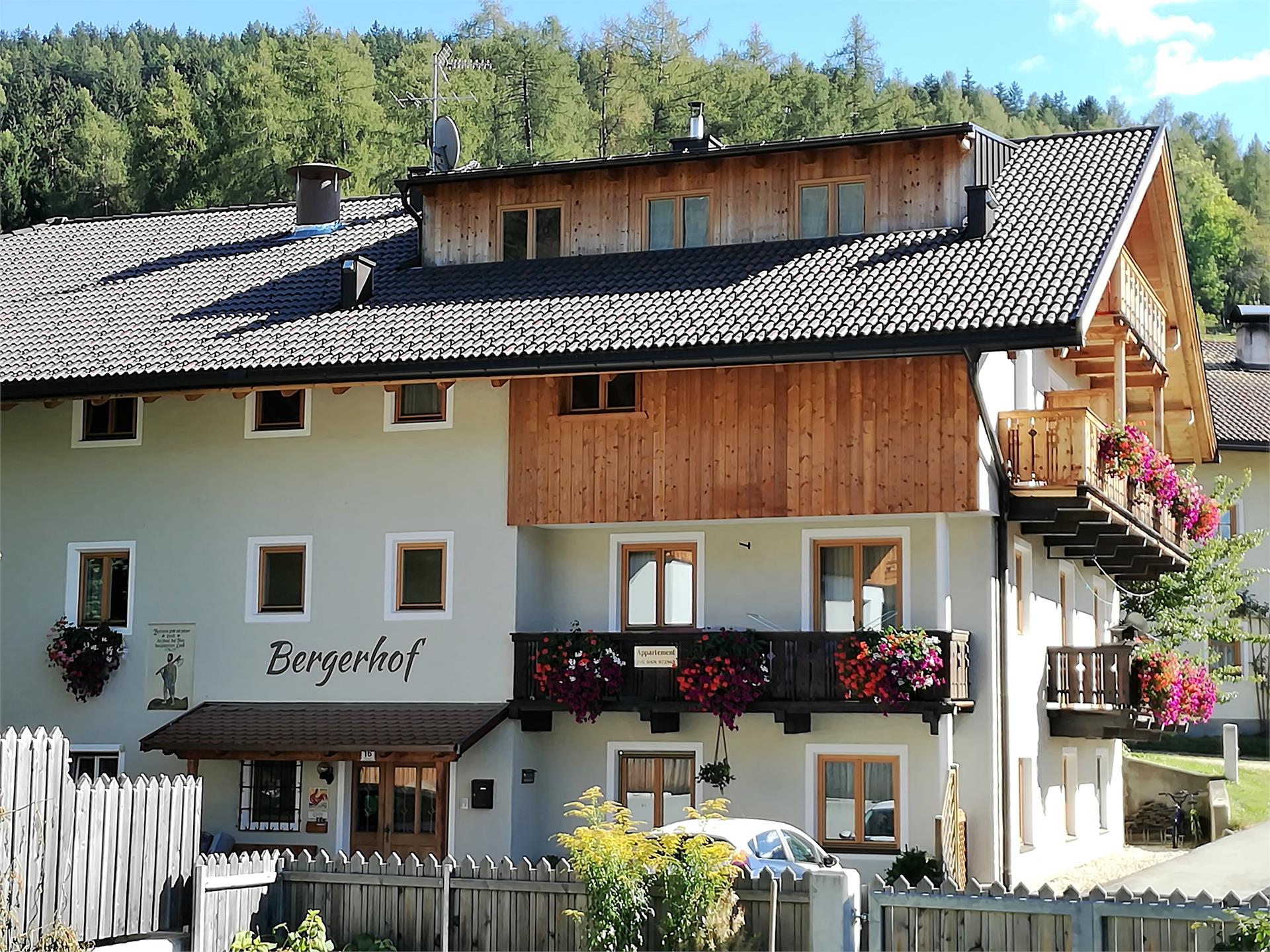 Bergerhof Dobbiaco 1 suedtirol.info
