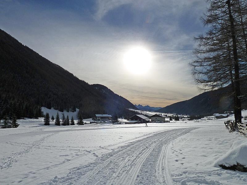 Bergerhof Dobbiaco 13 suedtirol.info