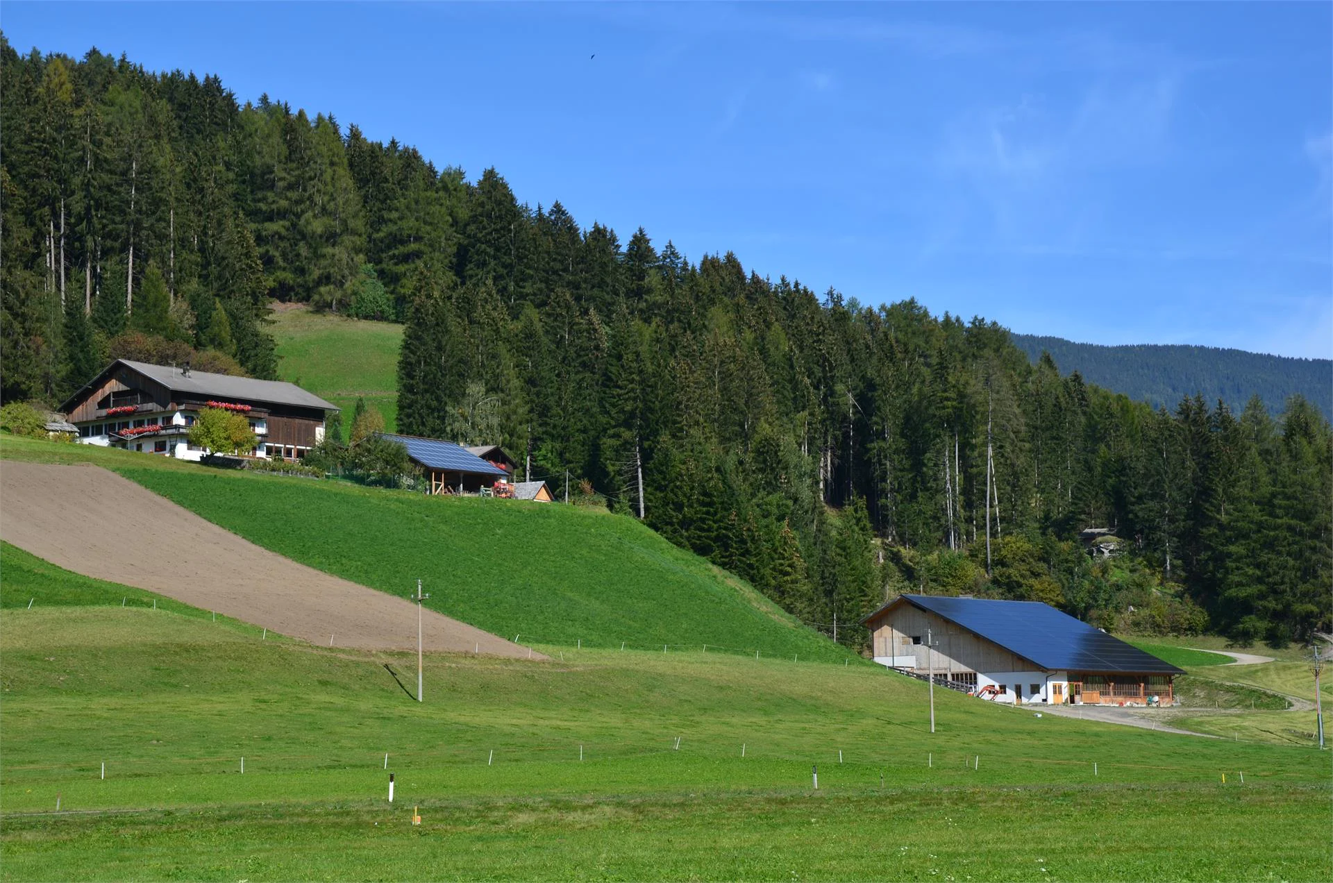 Baumannhof Dobbiaco 3 suedtirol.info