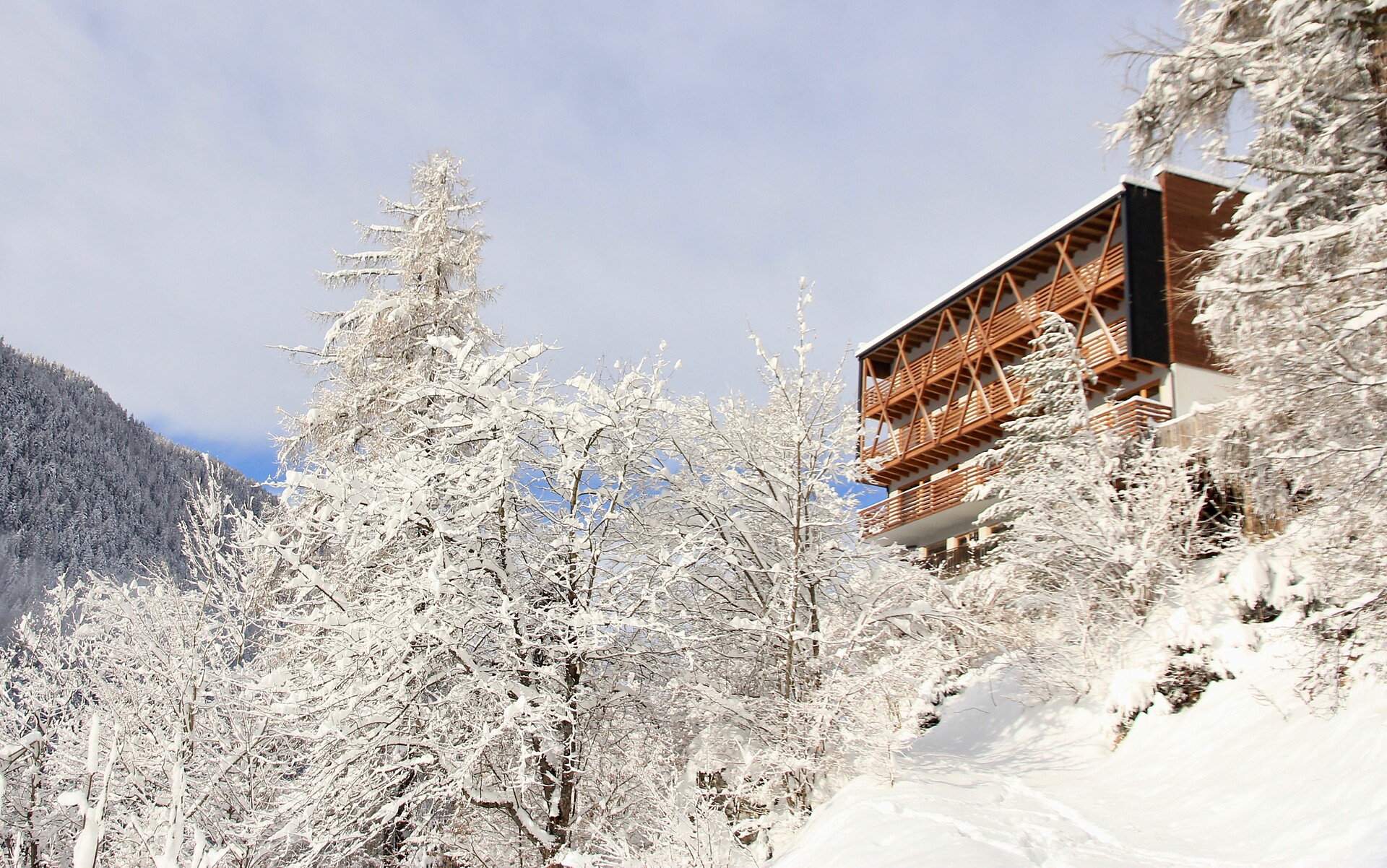 Bike & Ski Hotel Diana