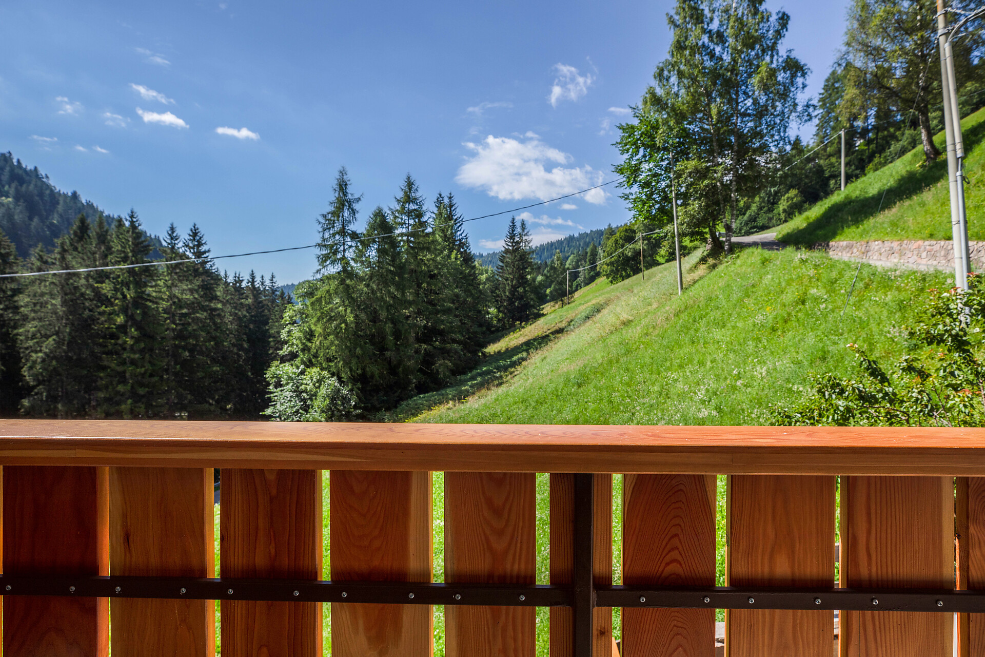 Ferienwohnung Pichl Balkon