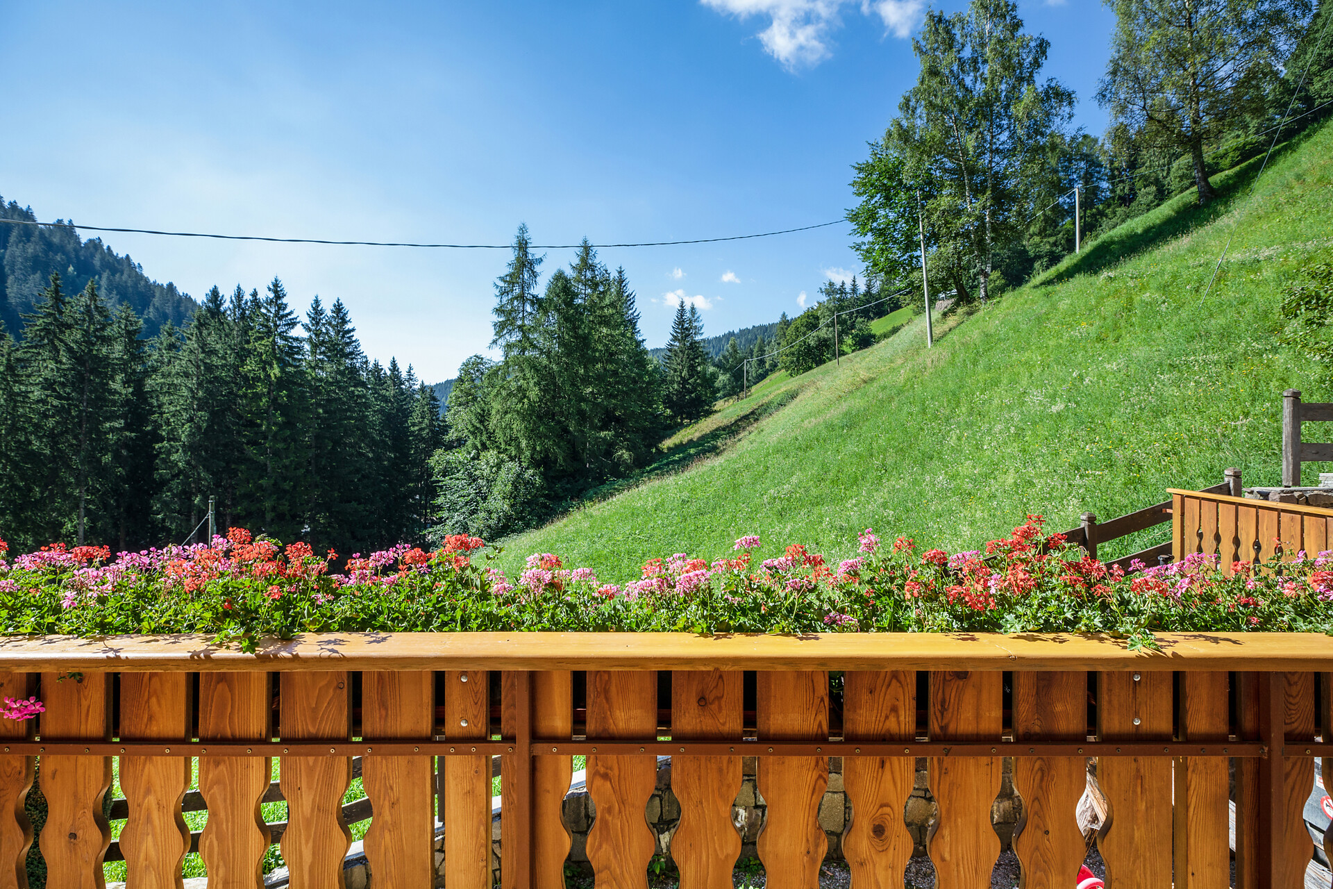 Ferienwohnung Wies Balkon