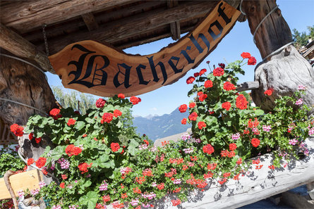 Bacher'stay Brixen/Bressanone 2 suedtirol.info