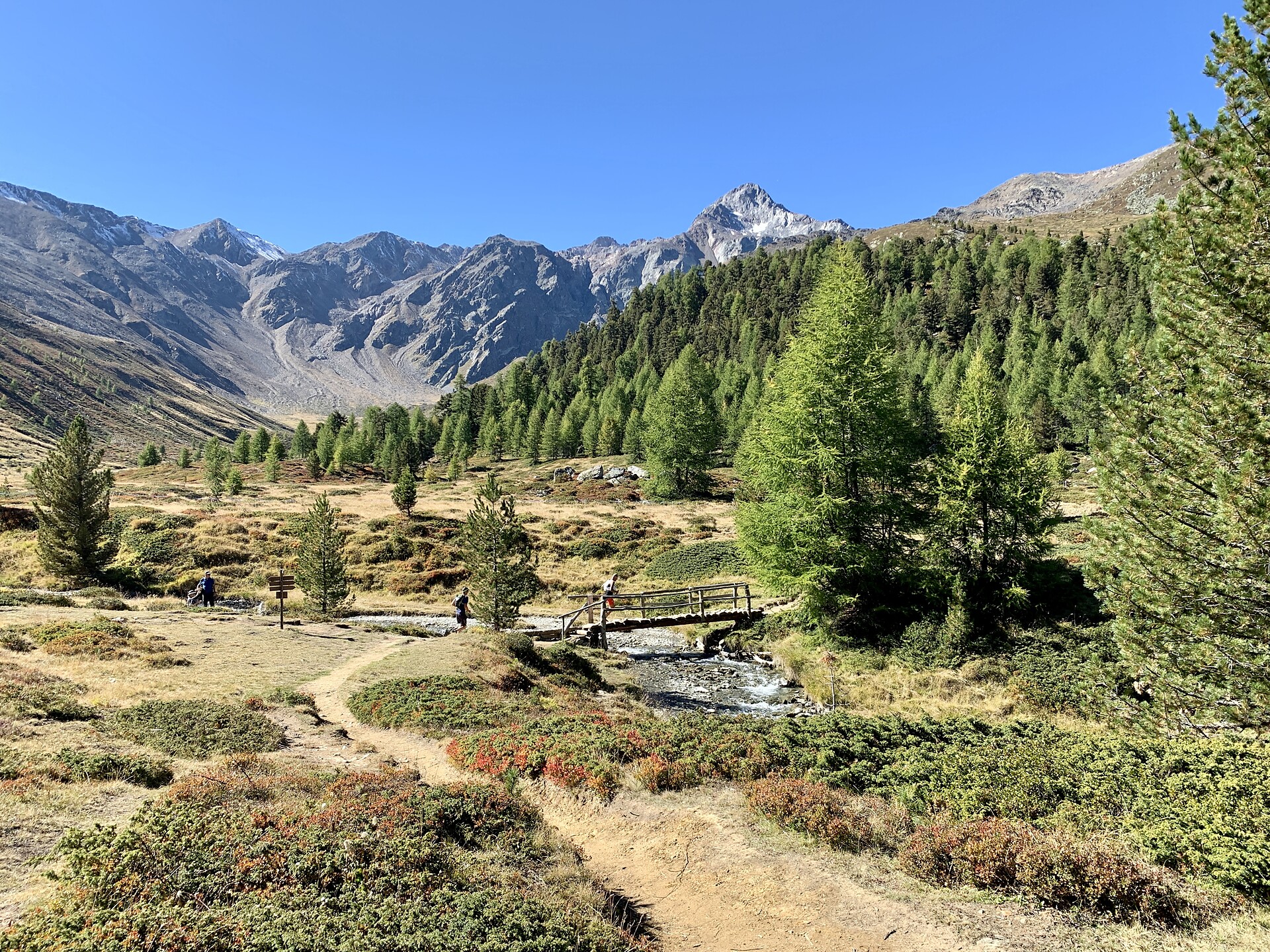 Trailrunningcamp