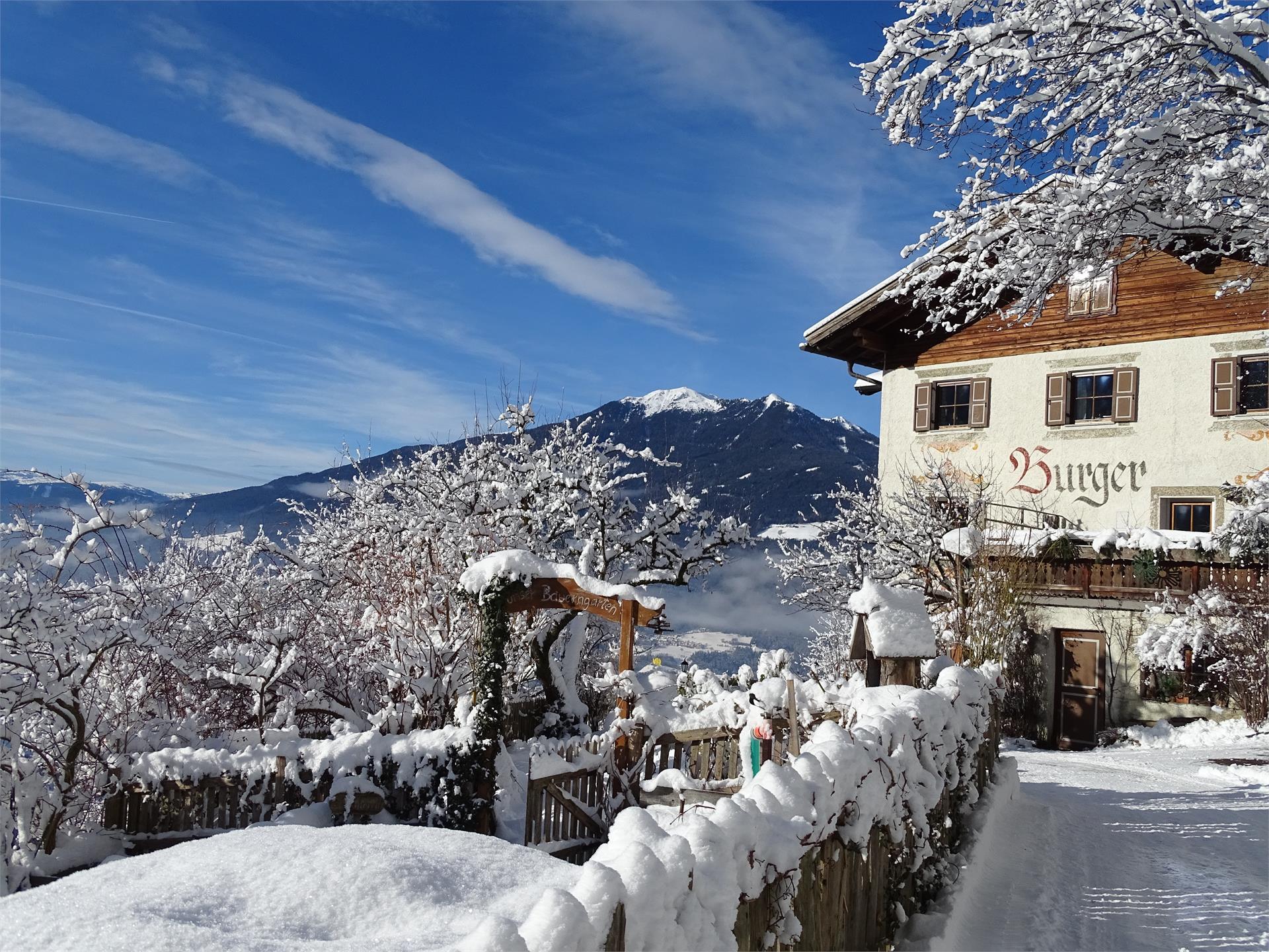 Maso Burgerhof Bressanone 5 suedtirol.info