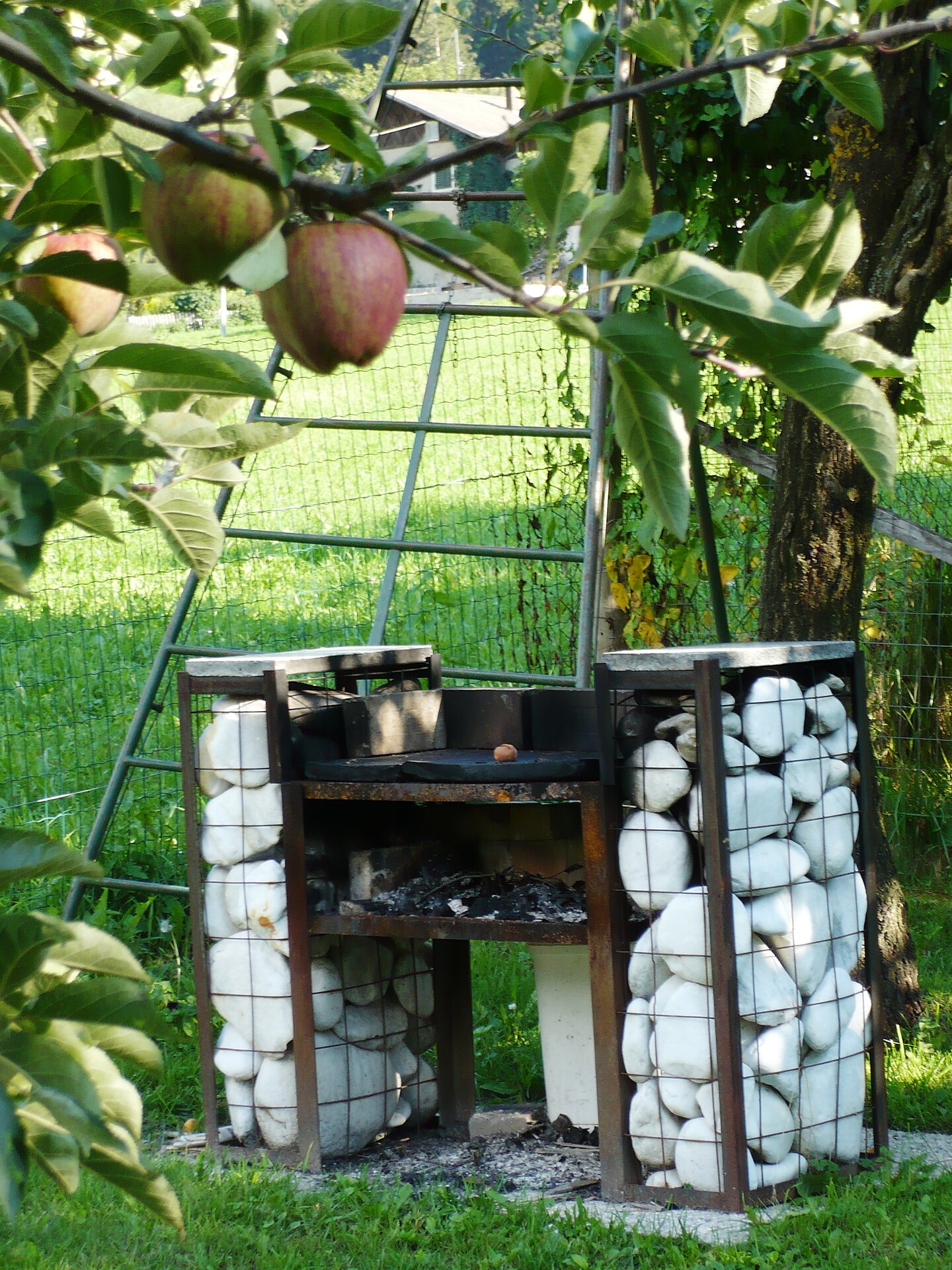 Grill