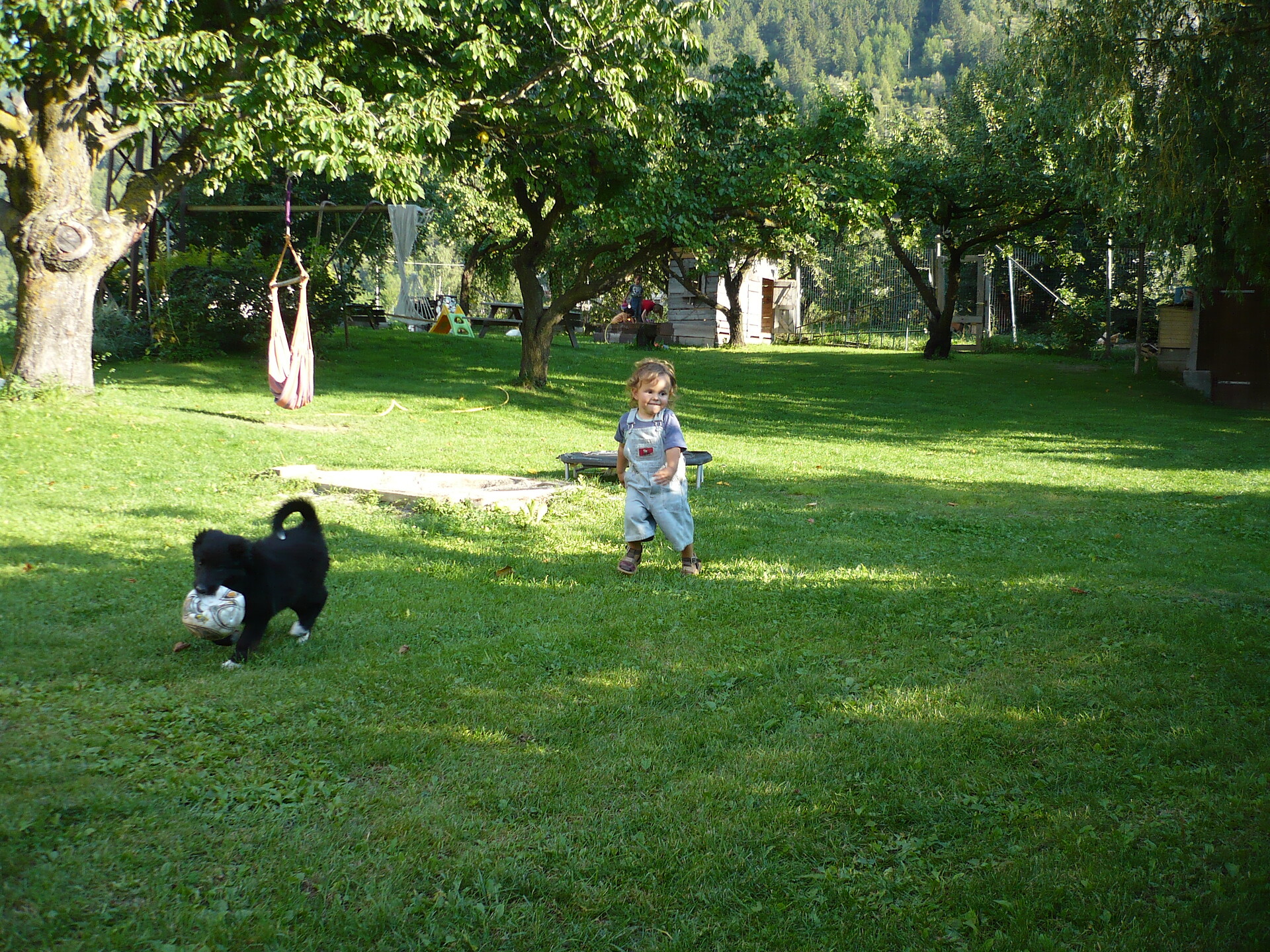Giardino