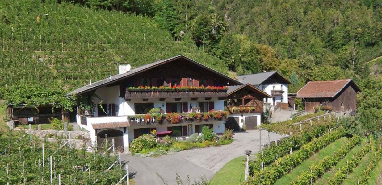 Urlaub auf dem Bauernhof Bognerhof