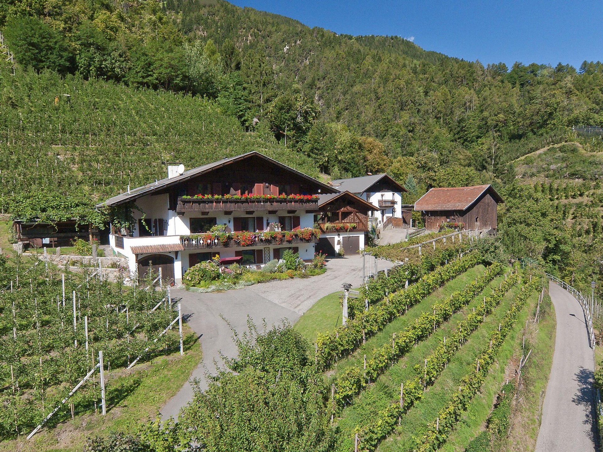 Urlaub auf dem Bauernhof Bognerhof