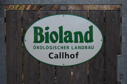 Bio-Callhof Lana 3 suedtirol.info