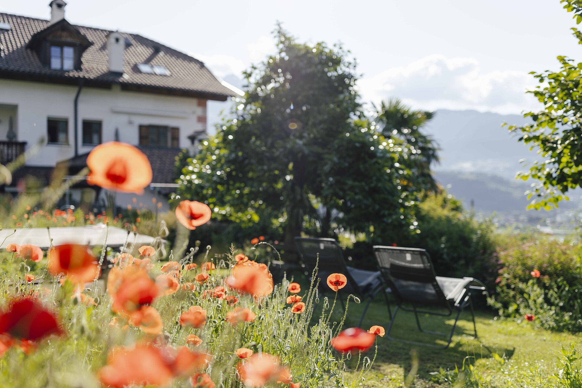 Hofer am Bach