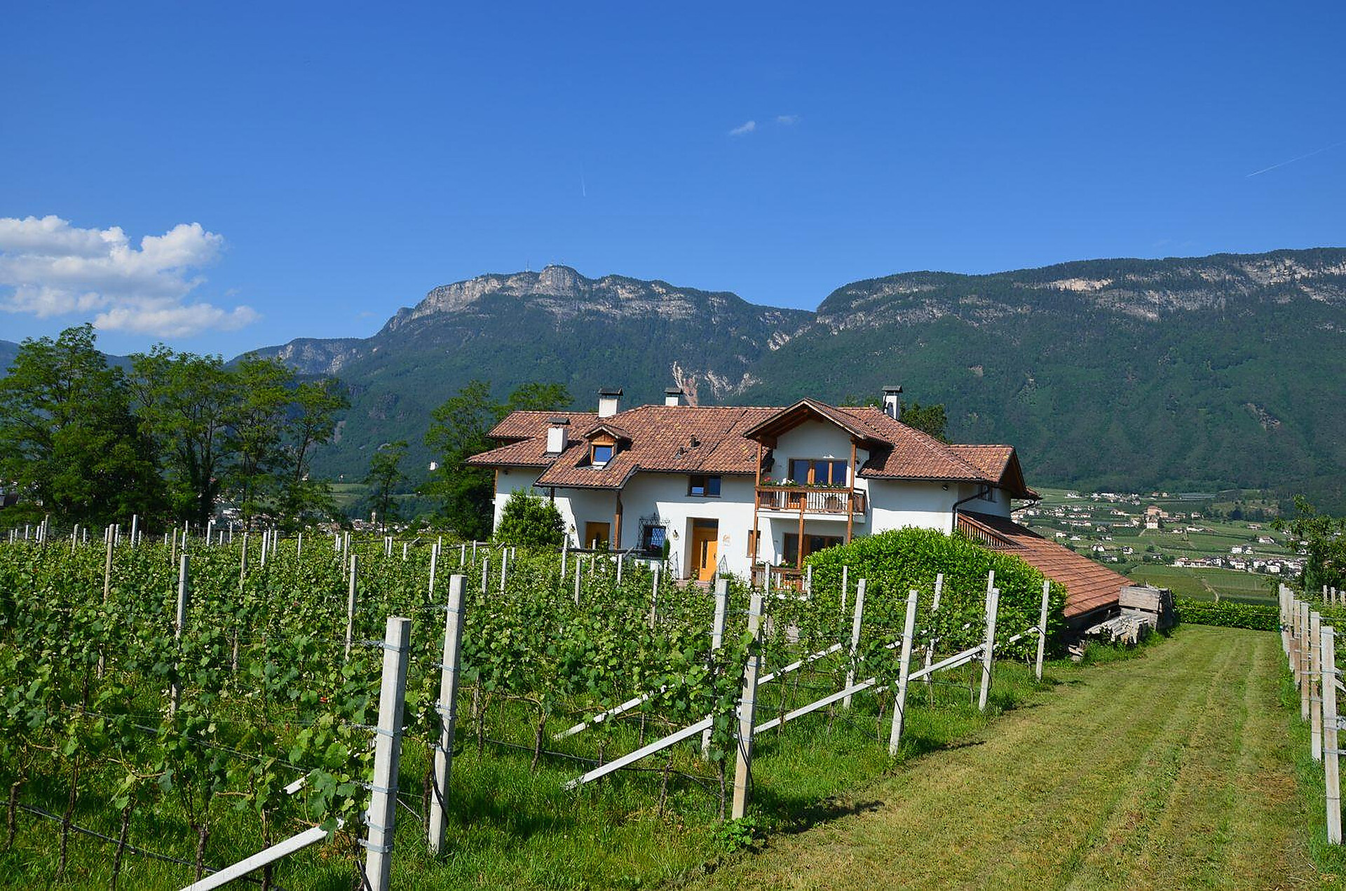Bühel im Gschleier