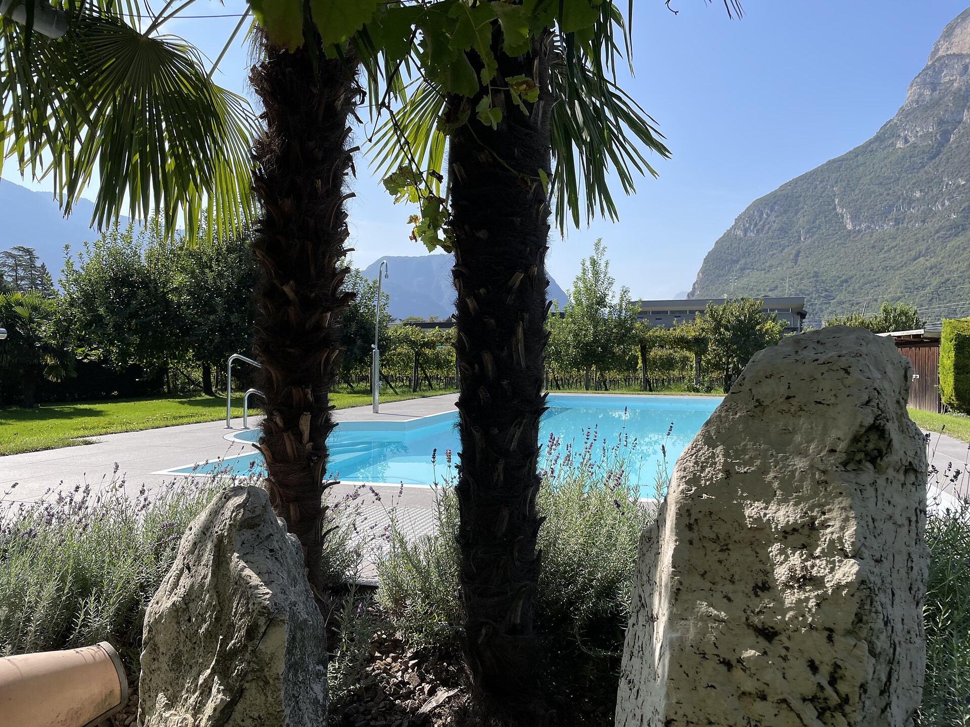 Benedettihof