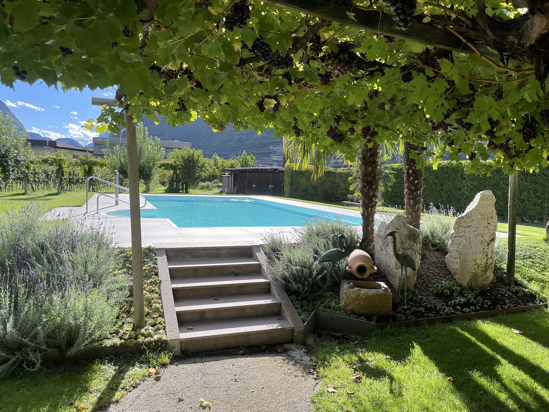Benedettihof